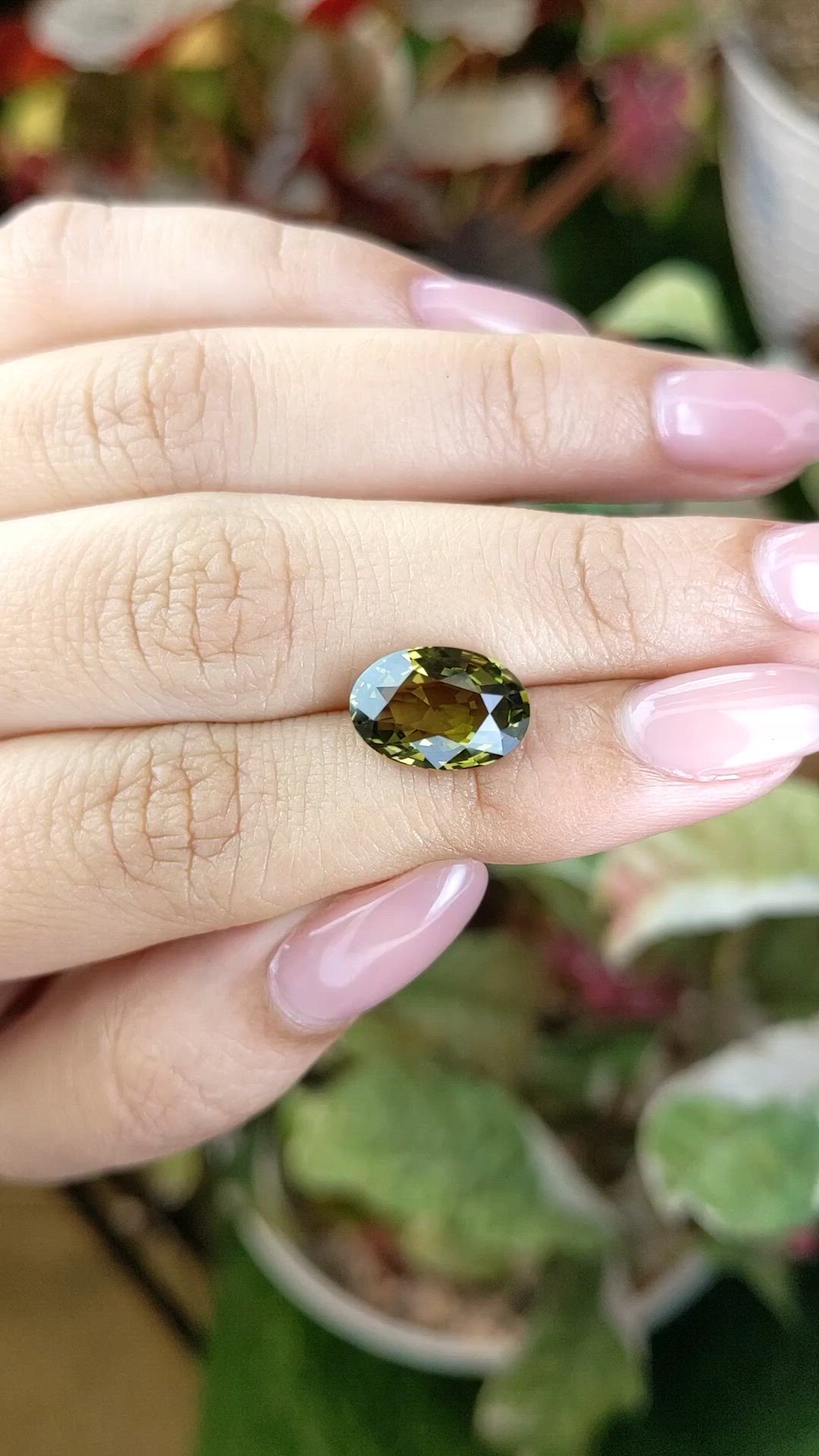 5.01 Ct. Yellowish Green Chrysoberyl from Ceylon (Sri Lanka) Size Video