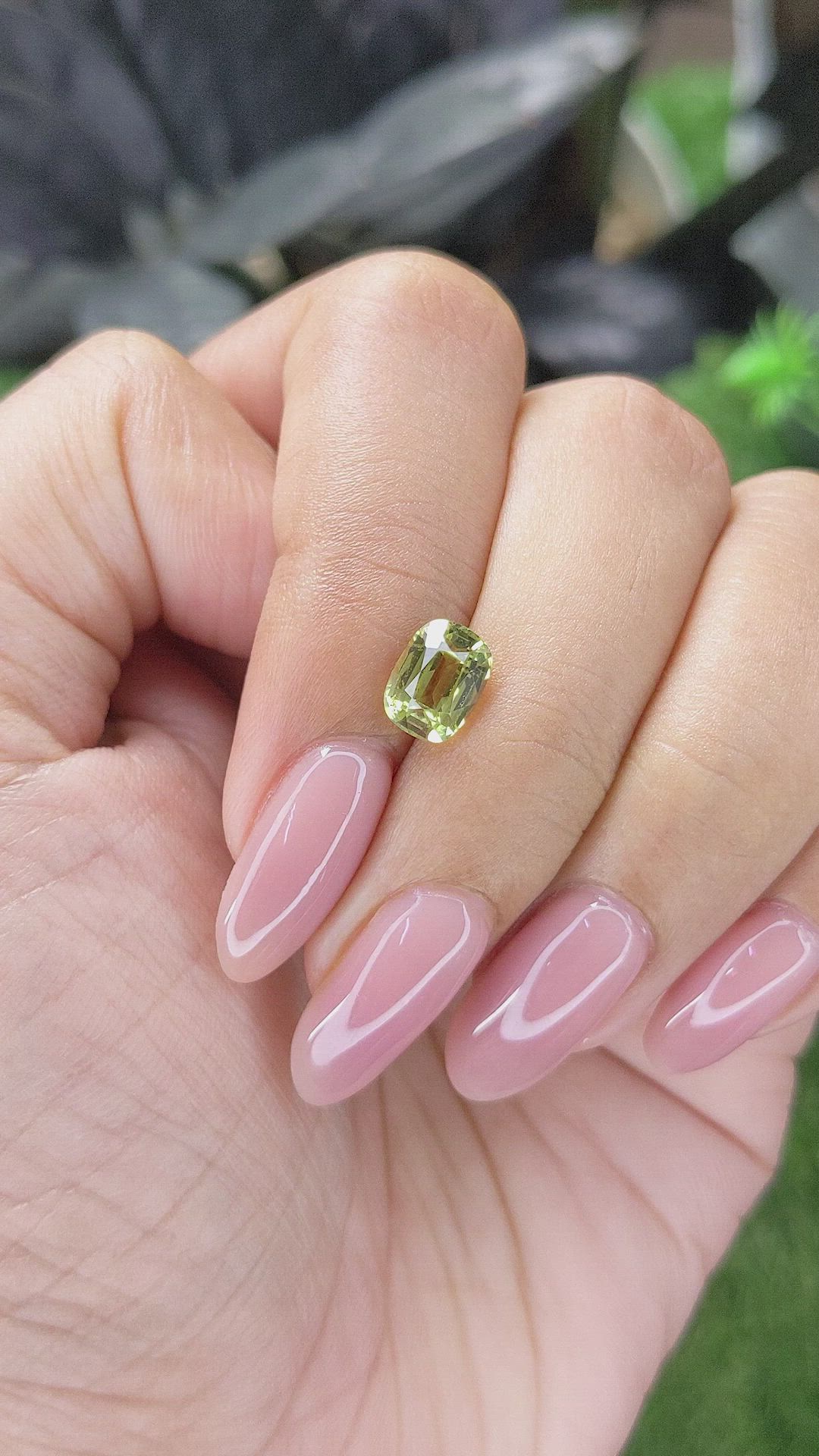 1.72 Ct. Yellowish Green Chrysoberyl from Ceylon (Sri Lanka) Size Video