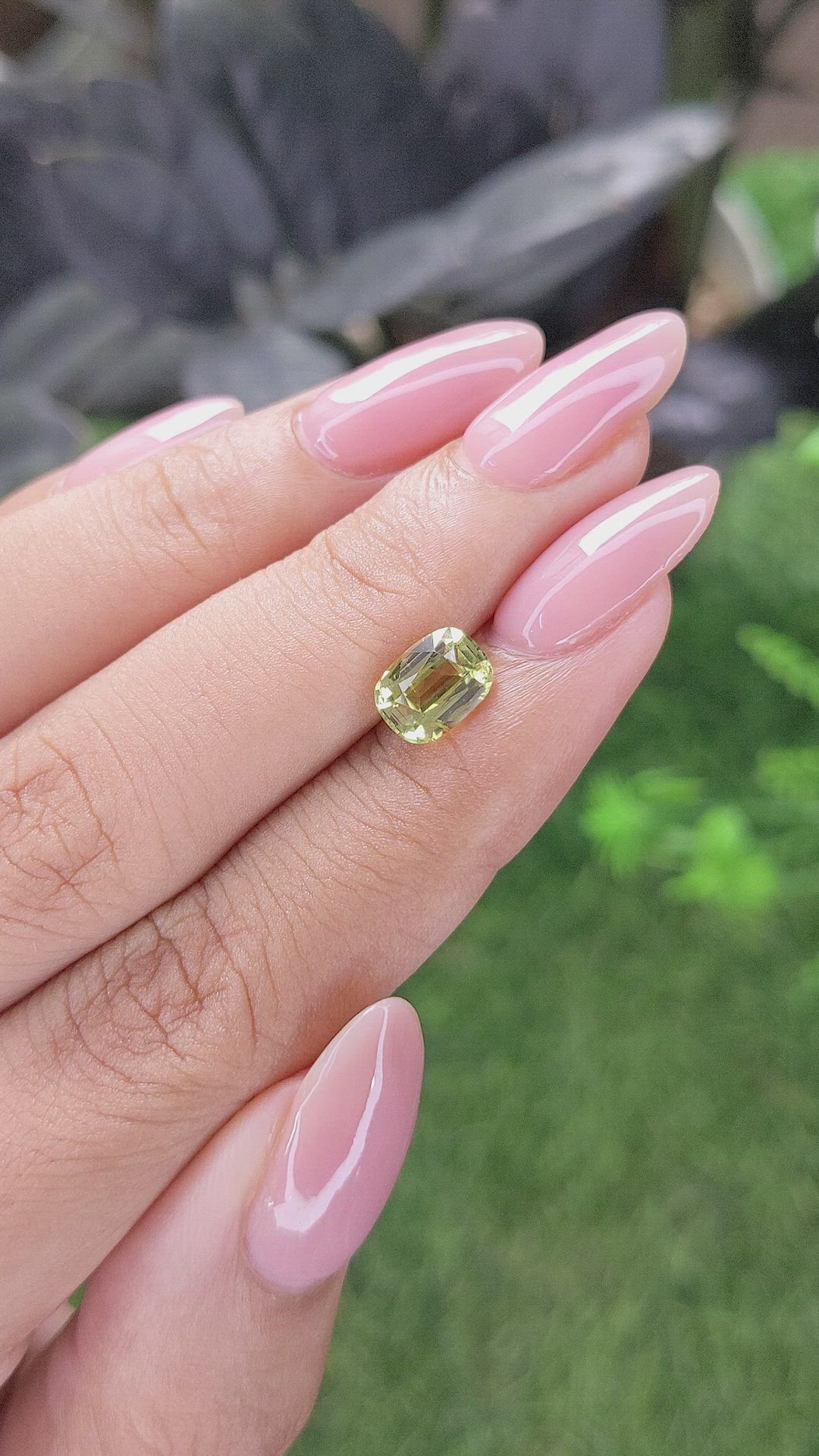 1.72 Ct. Yellowish Green Chrysoberyl from Ceylon (Sri Lanka) Size Video