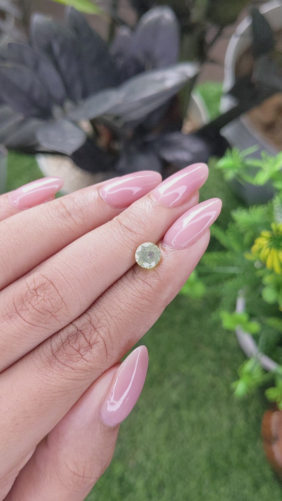 1.09 Ct. Greenish Yellow Chrysoberyl from Ceylon (Sri Lanka) Size Video