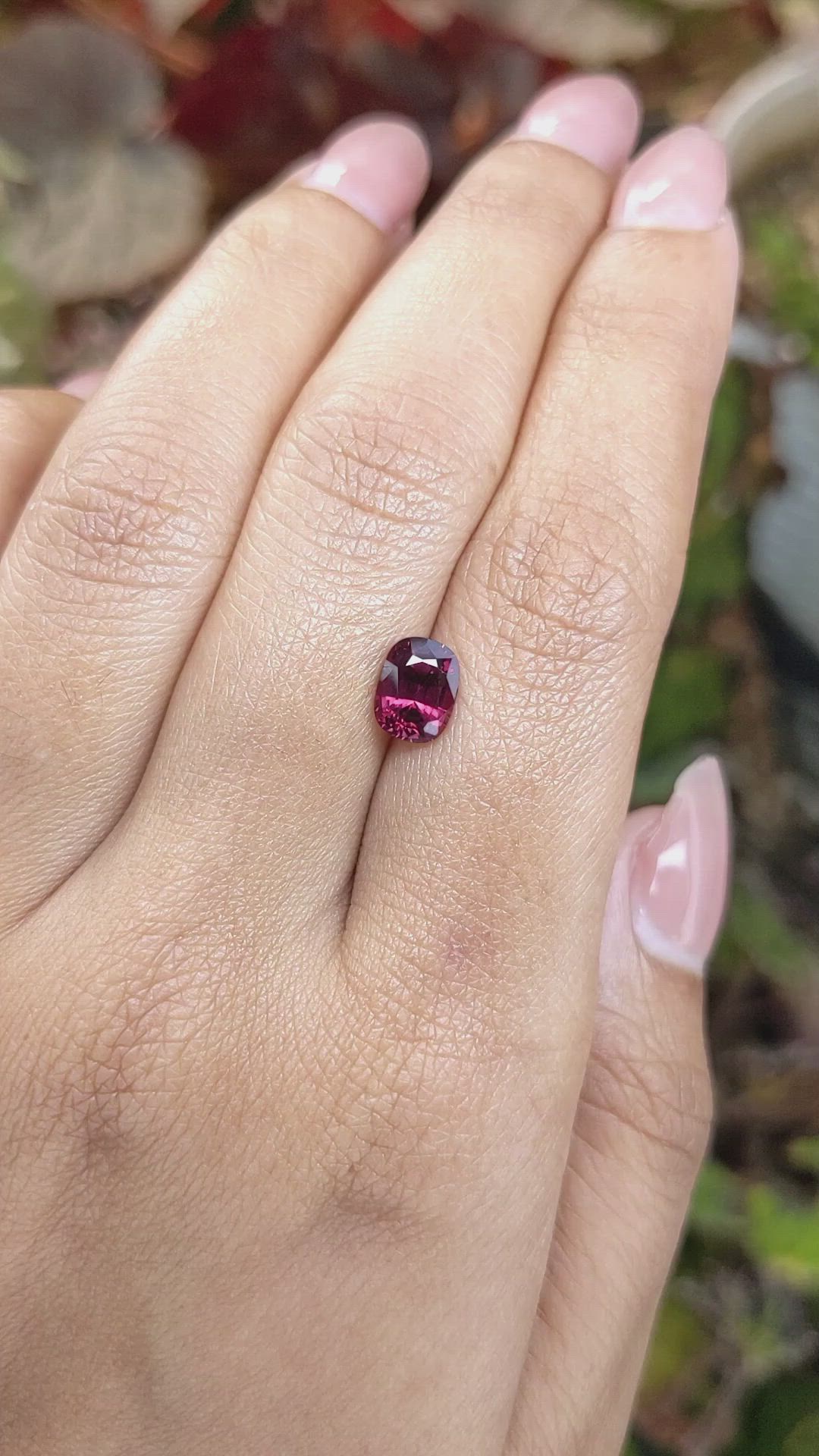 1.62 Ct. Purplish Red Rhodolite Garnet from Ceylon (Sri Lanka) Size Video