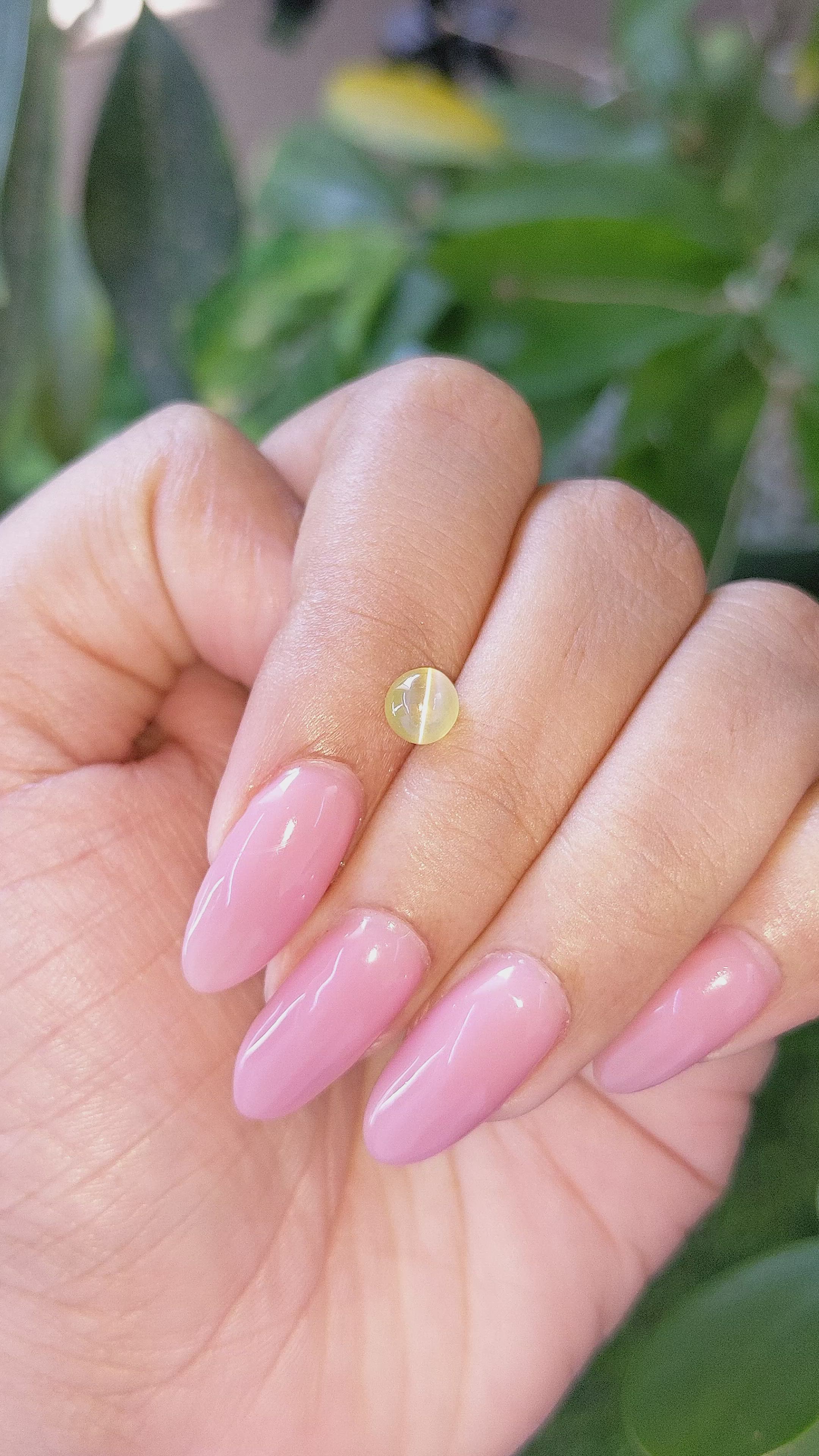 1.02 Ct. Greenish Yellow Cabochon Chrysoberyl from Tanzania Size Video