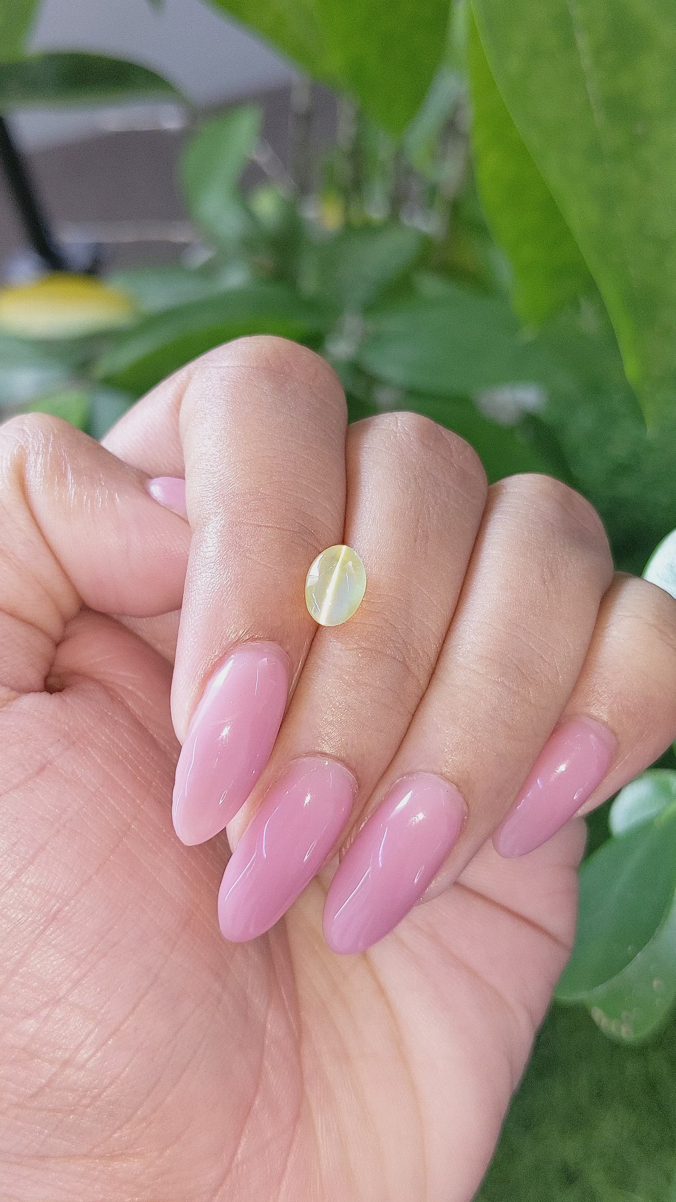 2.05 Ct. Greenish Yellow Cabochon Chrysoberyl from Tanzania Size Video