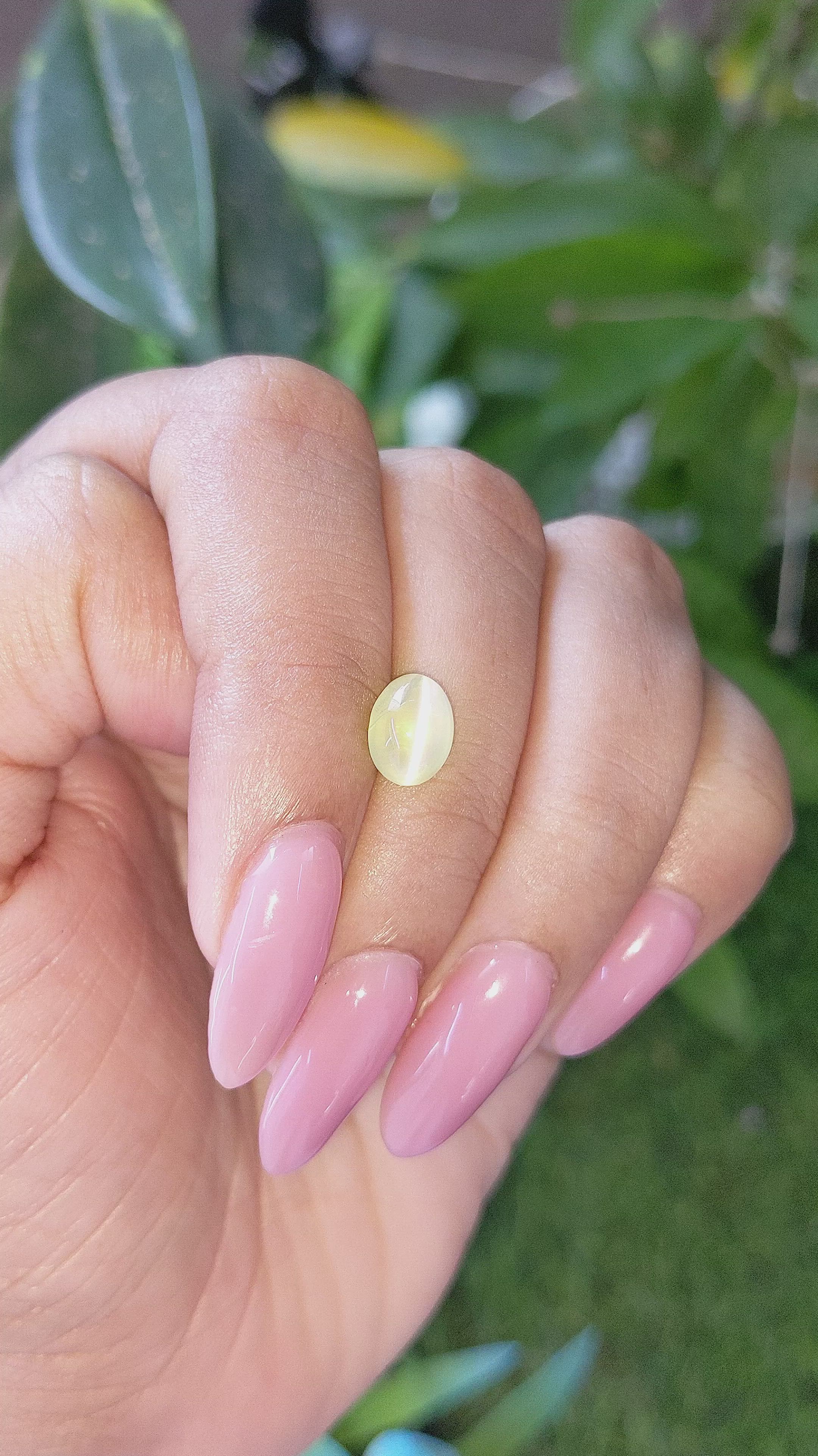 2.36 Ct. Greenish Yellow Cabochon Chrysoberyl from Tanzania Size Video
