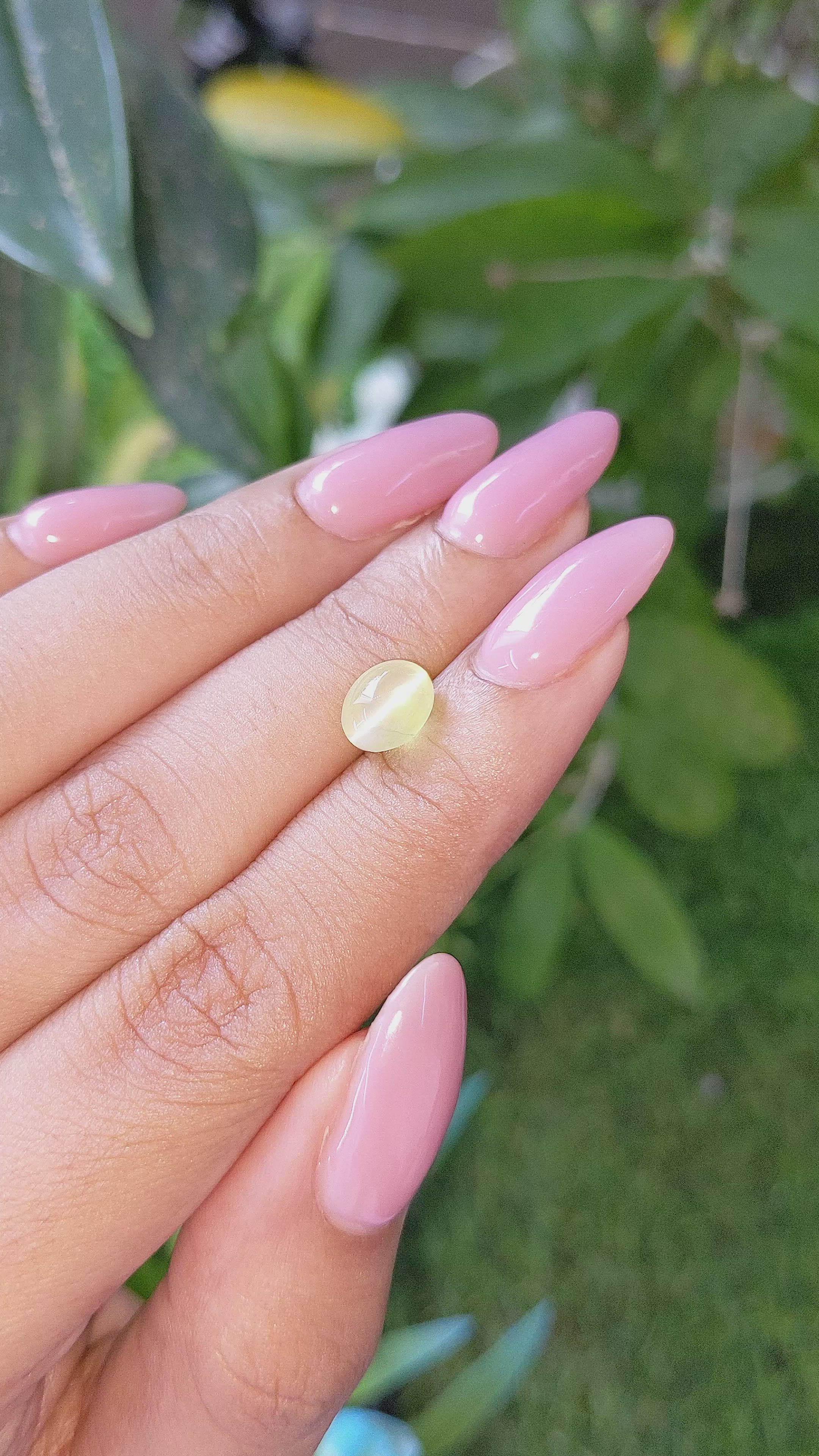 2.36 Ct. Greenish Yellow Cabochon Chrysoberyl from Tanzania Size Video