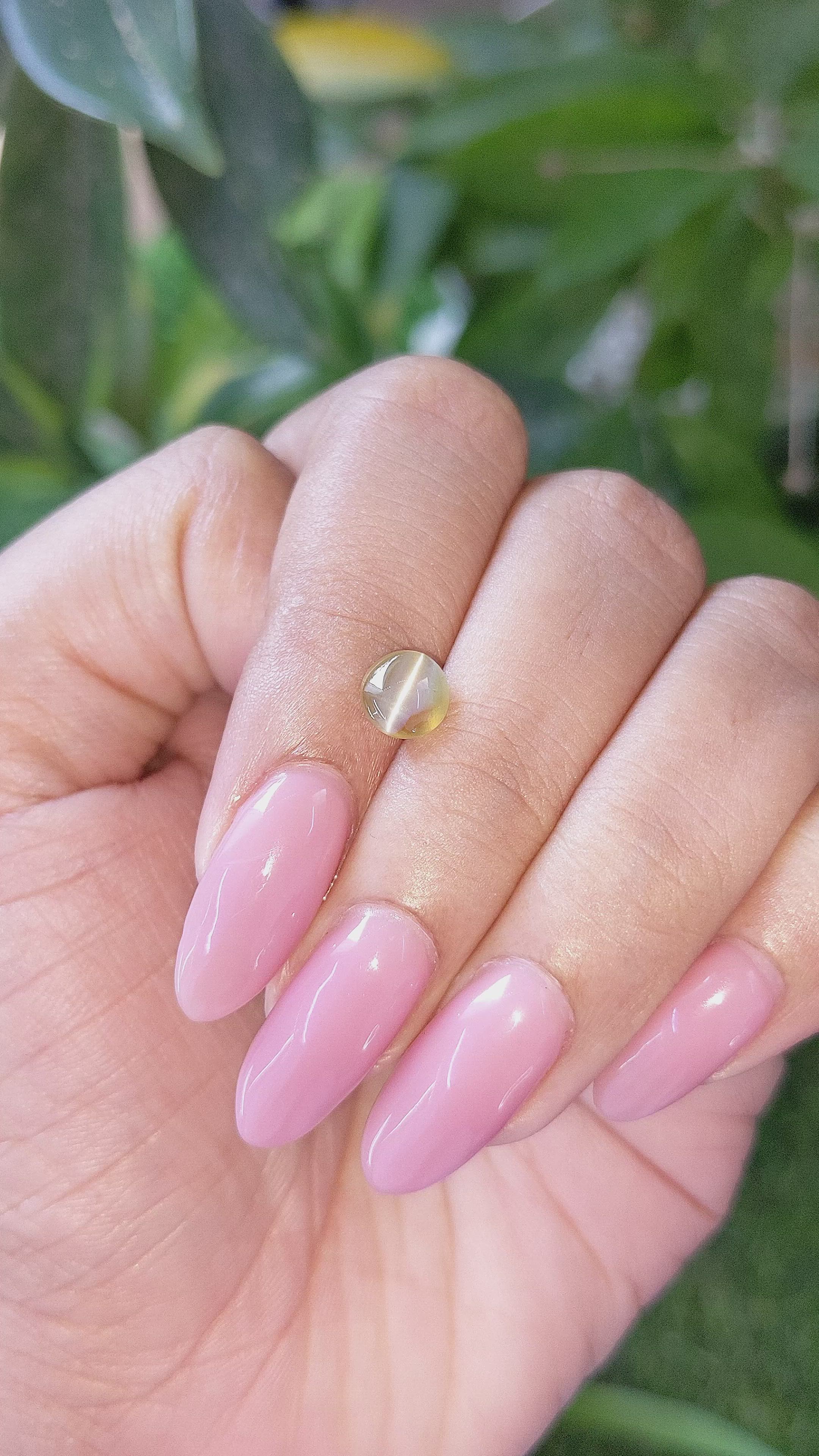 1.51 Ct. Brownish Green Cabochon Chrysoberyl from Tanzania Size Video