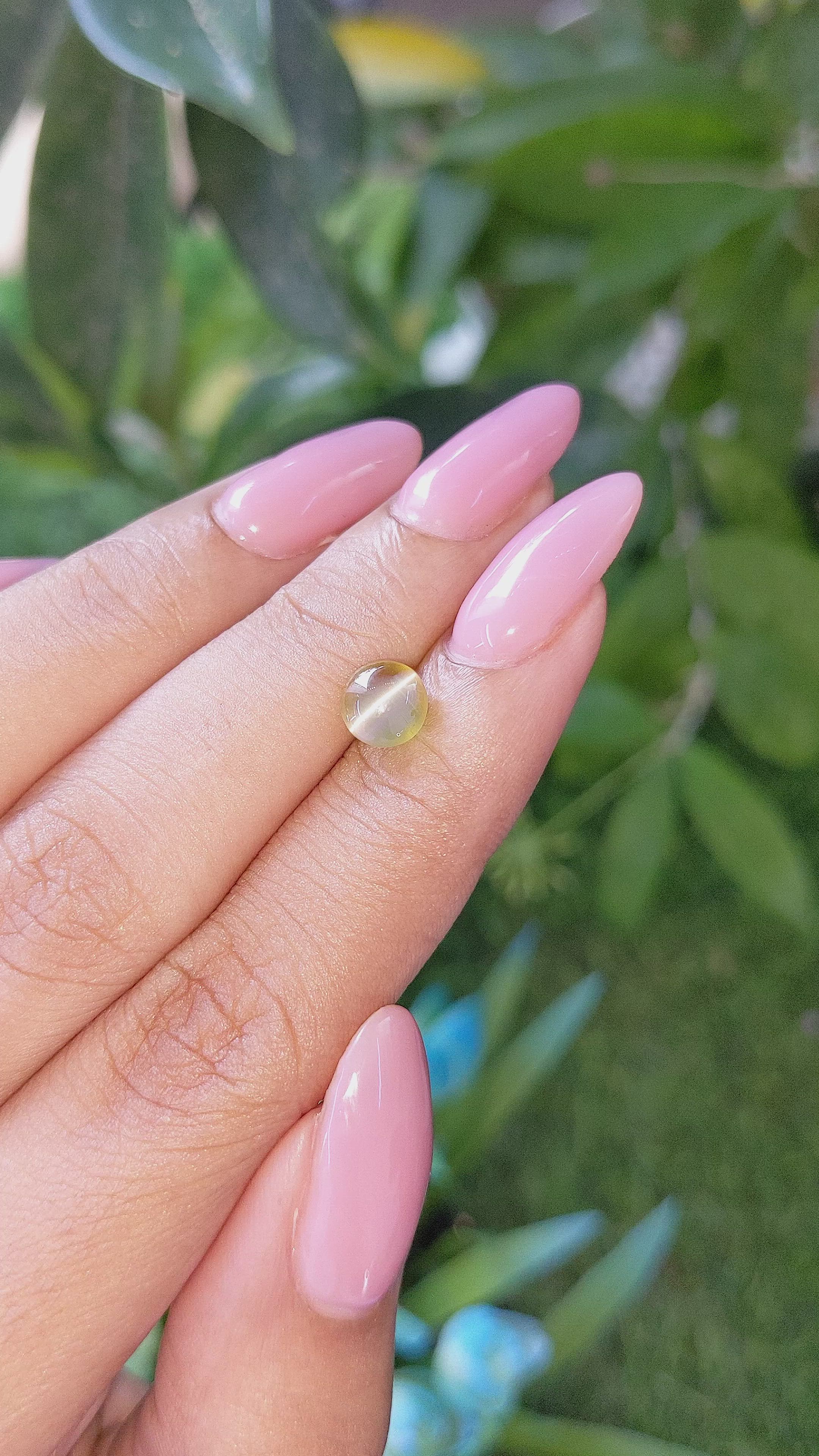 1.51 Ct. Brownish Green Cabochon Chrysoberyl from Tanzania Size Video