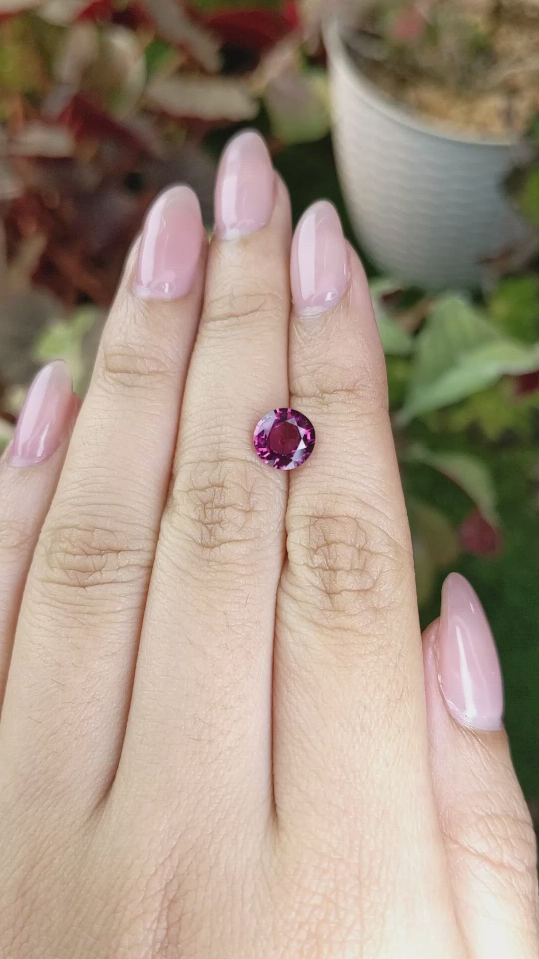 1.84 Ct. Purplish Pink Rhodolite Garnet from Ceylon (Sri Lanka) Size Video