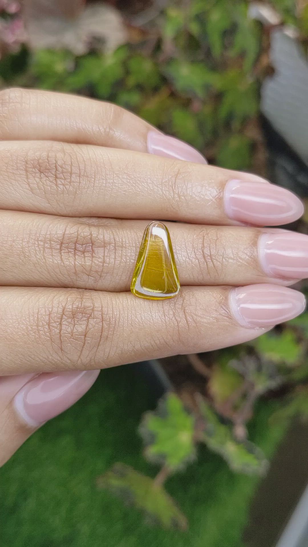 4.69 Ct. Yellow Cabochon Zircon from Ceylon (Sri Lanka) Size Video