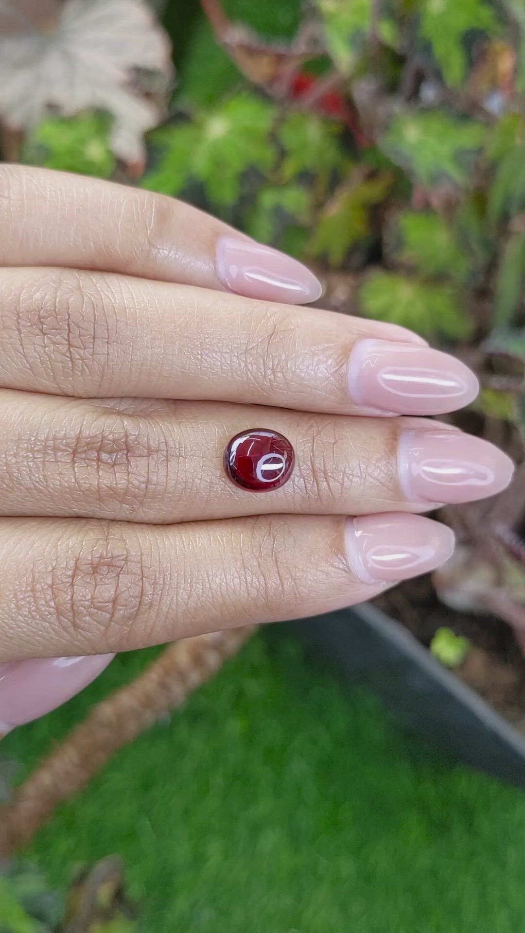 2.90 Ct. Red Cabochon Garnet from Ceylon (Sri Lanka) Size Video