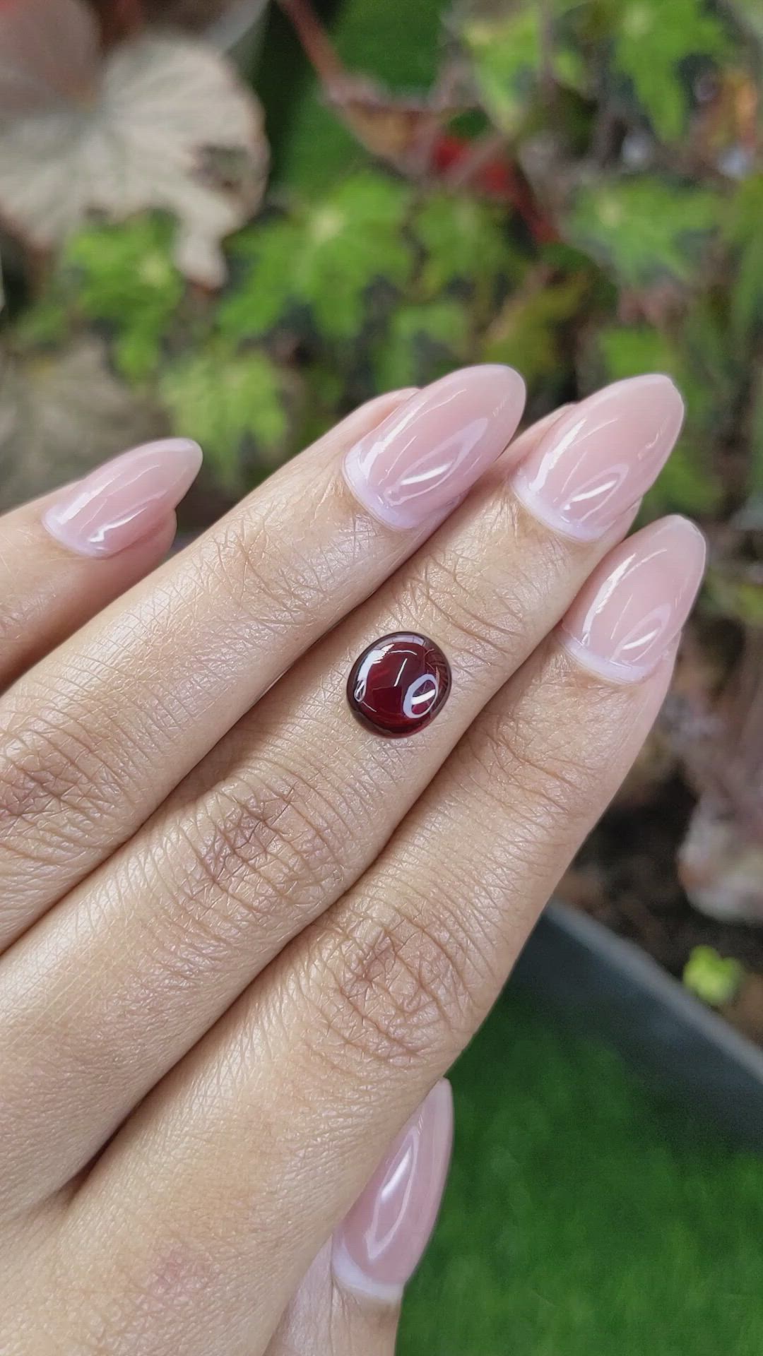 2.90 Ct. Red Cabochon Garnet from Ceylon (Sri Lanka) Size Video