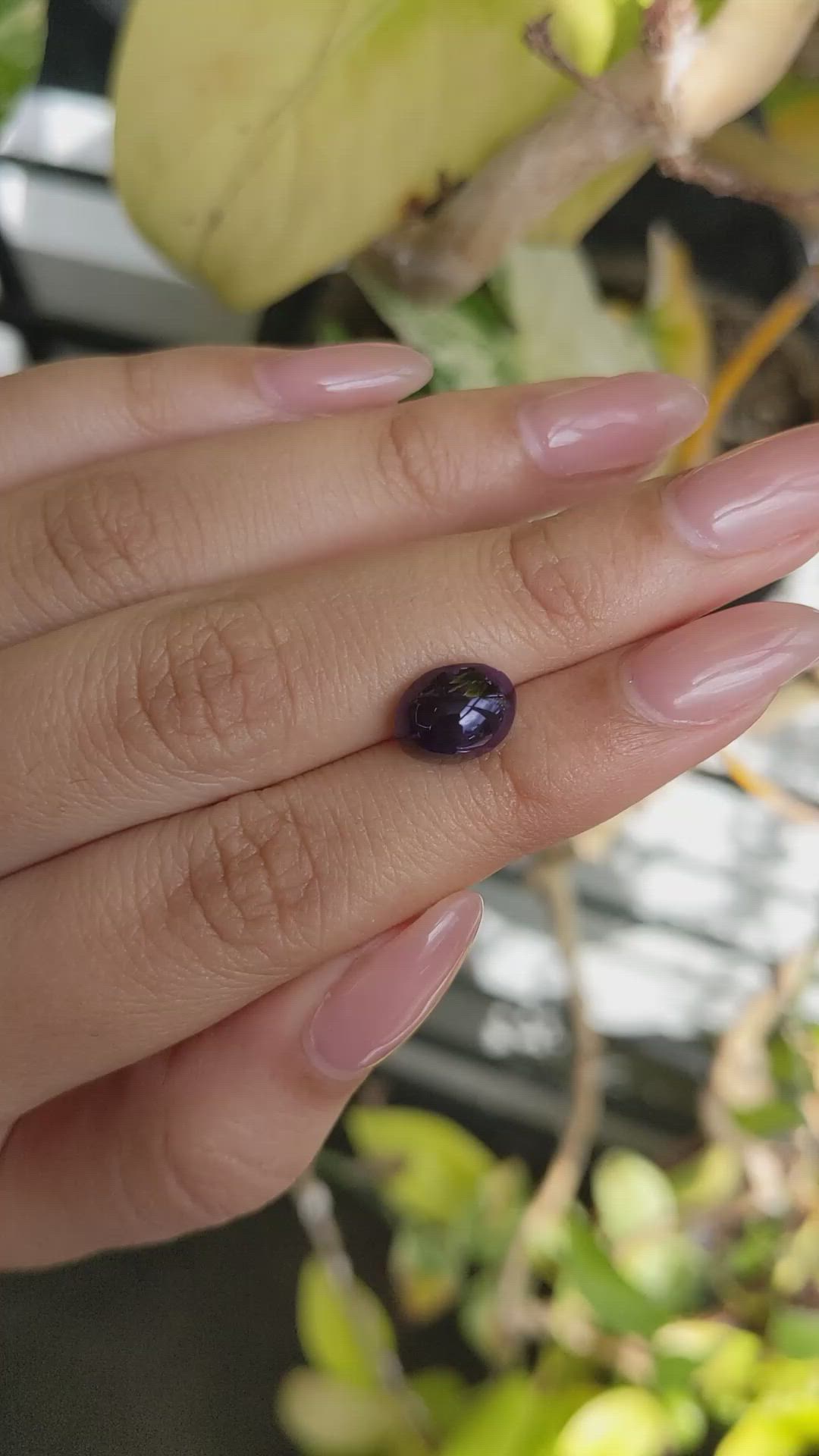 4.36 Ct. Purple Star Spinel from Ceylon (Sri Lanka) Size Video