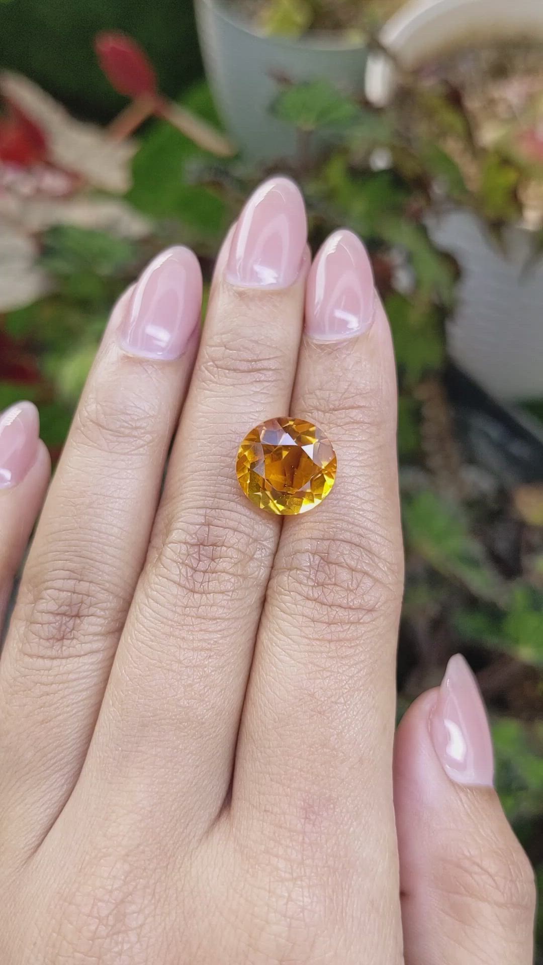 6.60 Ct. Yellowish Orange Citrine from Ceylon (Sri Lanka) Size Video
