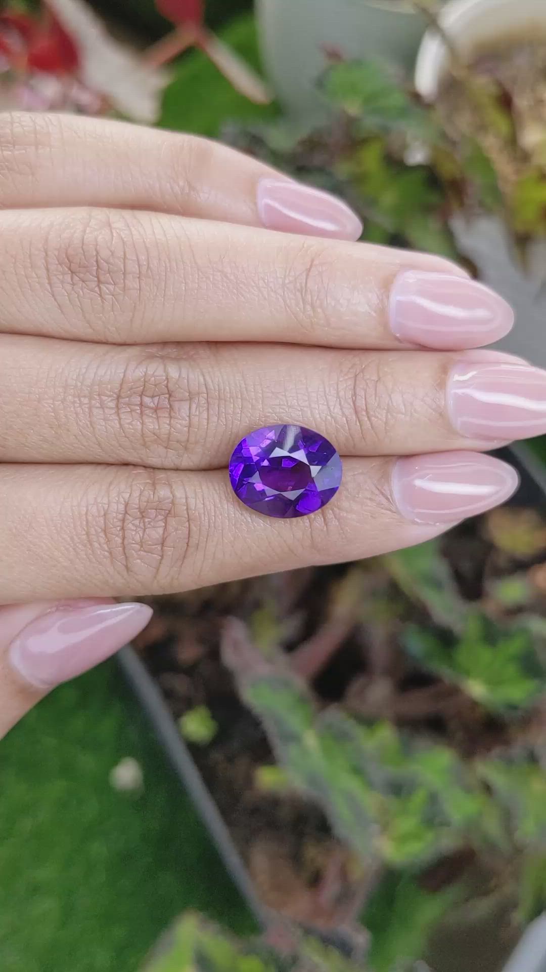 6.67 Ct. Purple Amethyst from Ceylon (Sri Lanka) Size Video