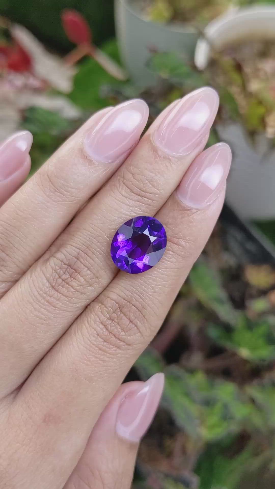 6.67 Ct. Purple Amethyst from Ceylon (Sri Lanka) Size Video