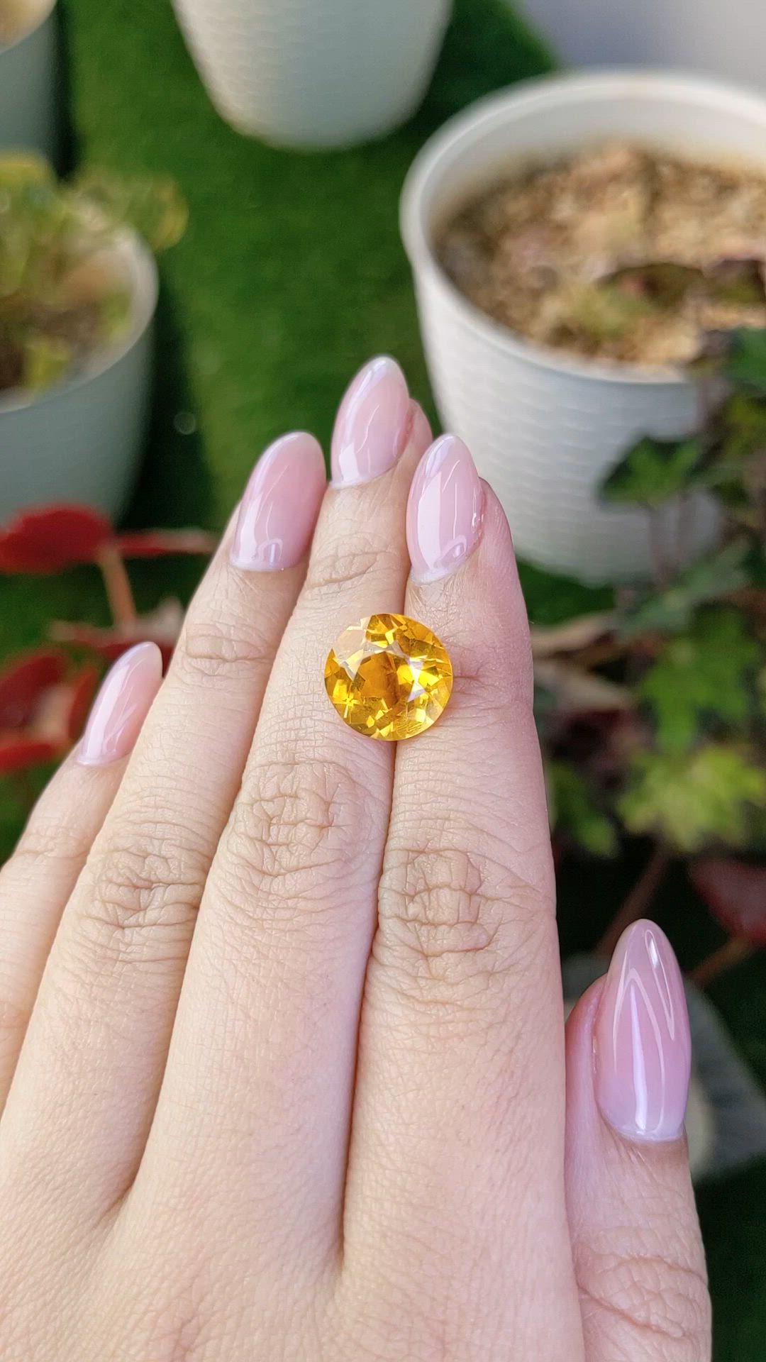 6.00 Ct. Yellow Citrine from Ceylon (Sri Lanka) Size Video