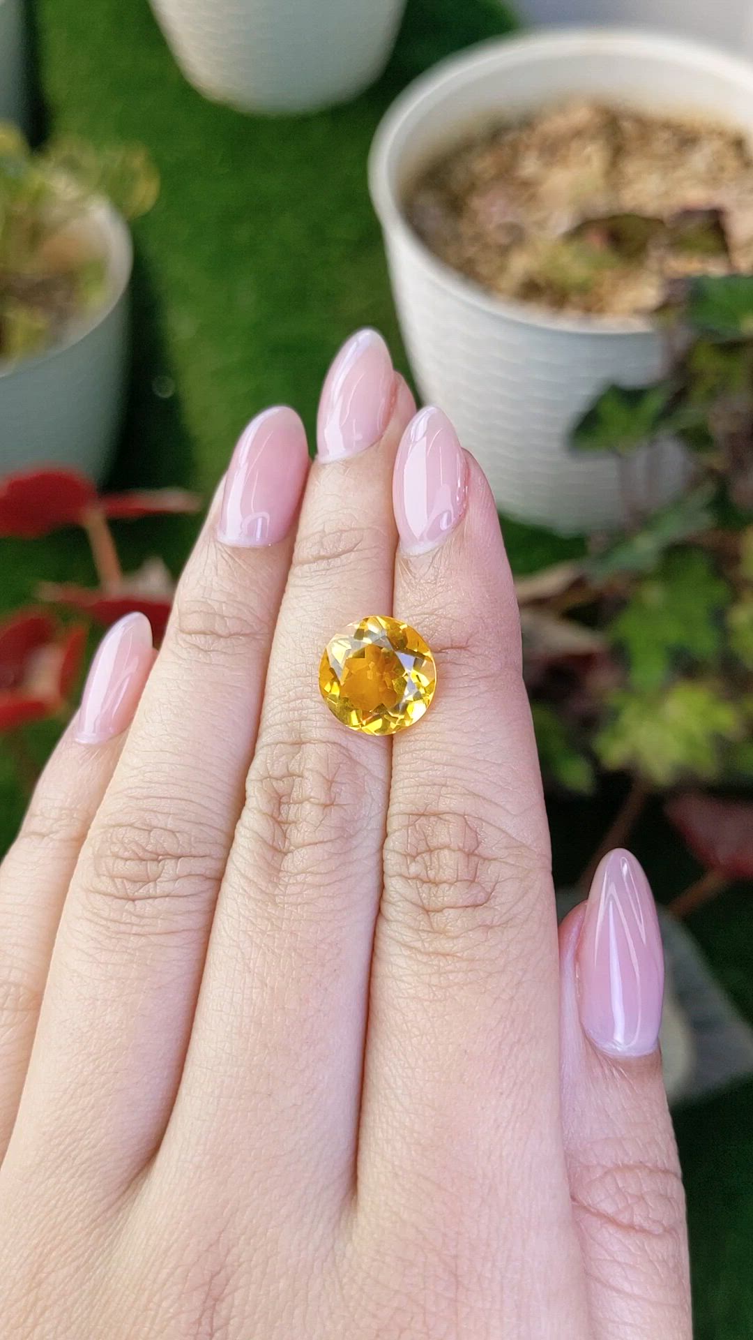 5.37 Ct. Yellow Citrine from Ceylon (Sri Lanka) Size Video