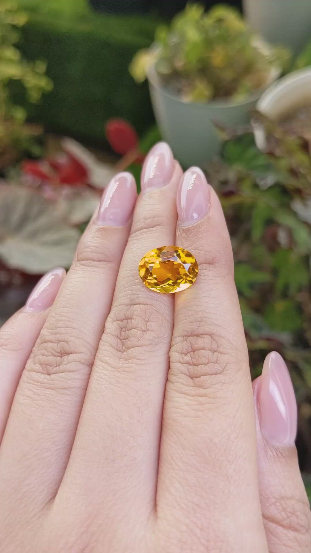 5.48 Ct. Yellowish Orange Citrine from Ceylon (Sri Lanka) Size Video