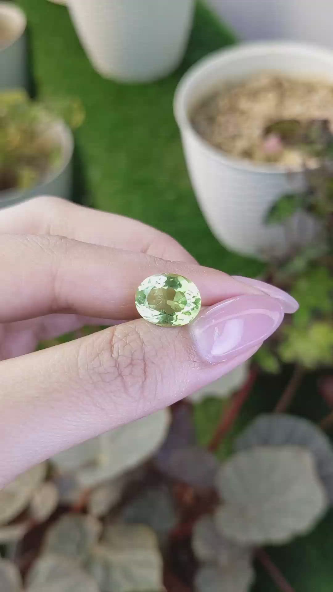 5.59 Ct. Yellowish Green Prasiolite from Brazil Size Video