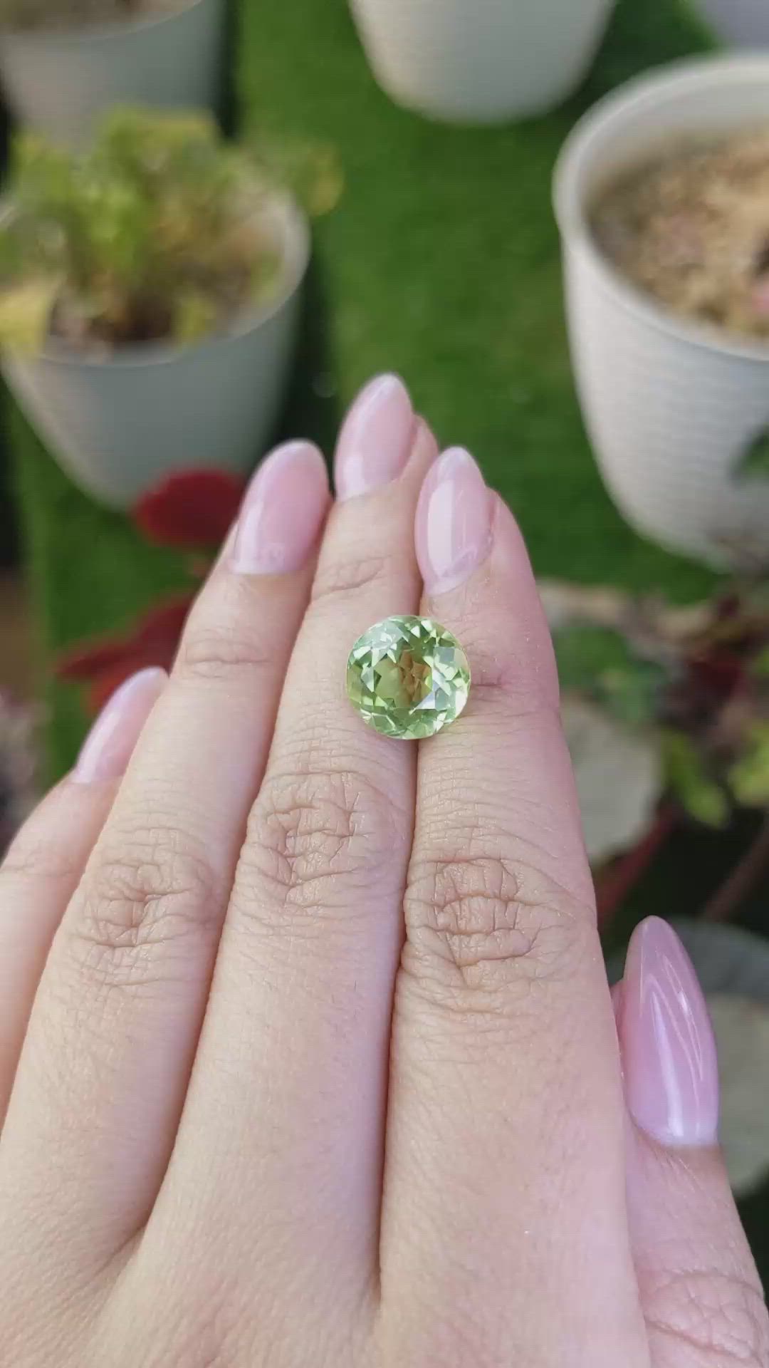5.63 Ct. Yellowish Green Prasiolite from Brazil Size Video