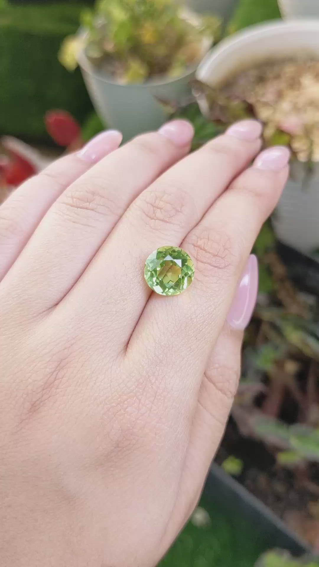 5.63 Ct. Yellowish Green Prasiolite from Brazil Size Video