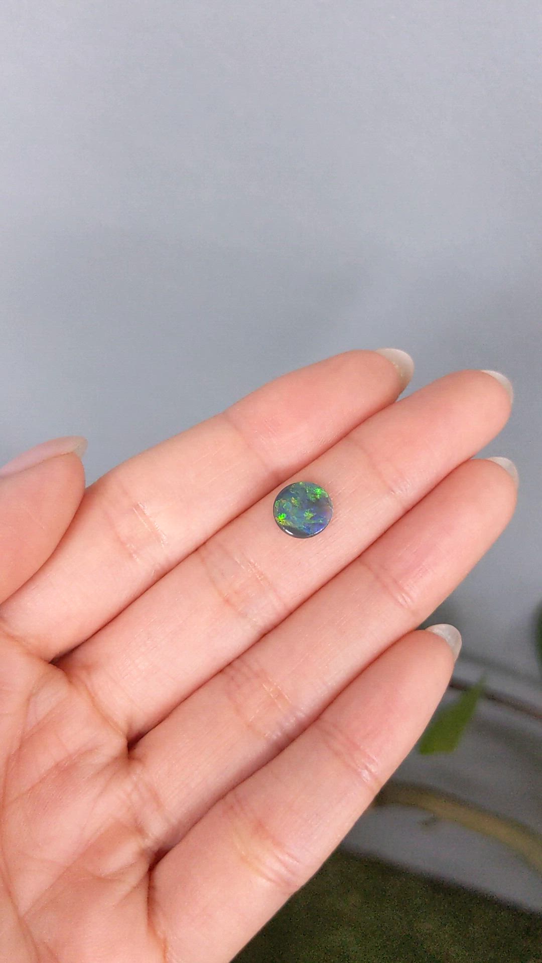 0.62 Ct. Multi Color Cabochon Black Opal (Dark Opal) from Australia Size Video