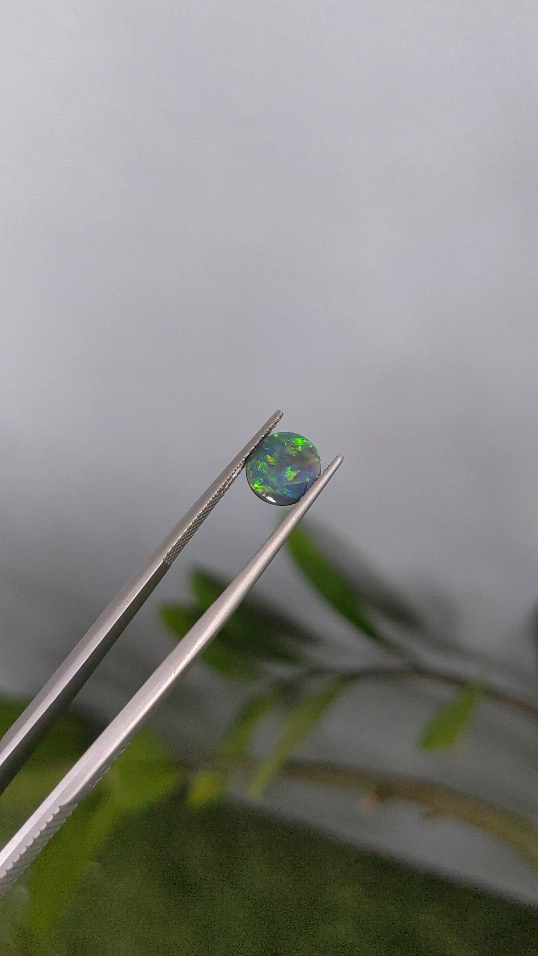 0.62 Ct. Multi Color Cabochon Black Opal (Dark Opal) from Australia Size Video