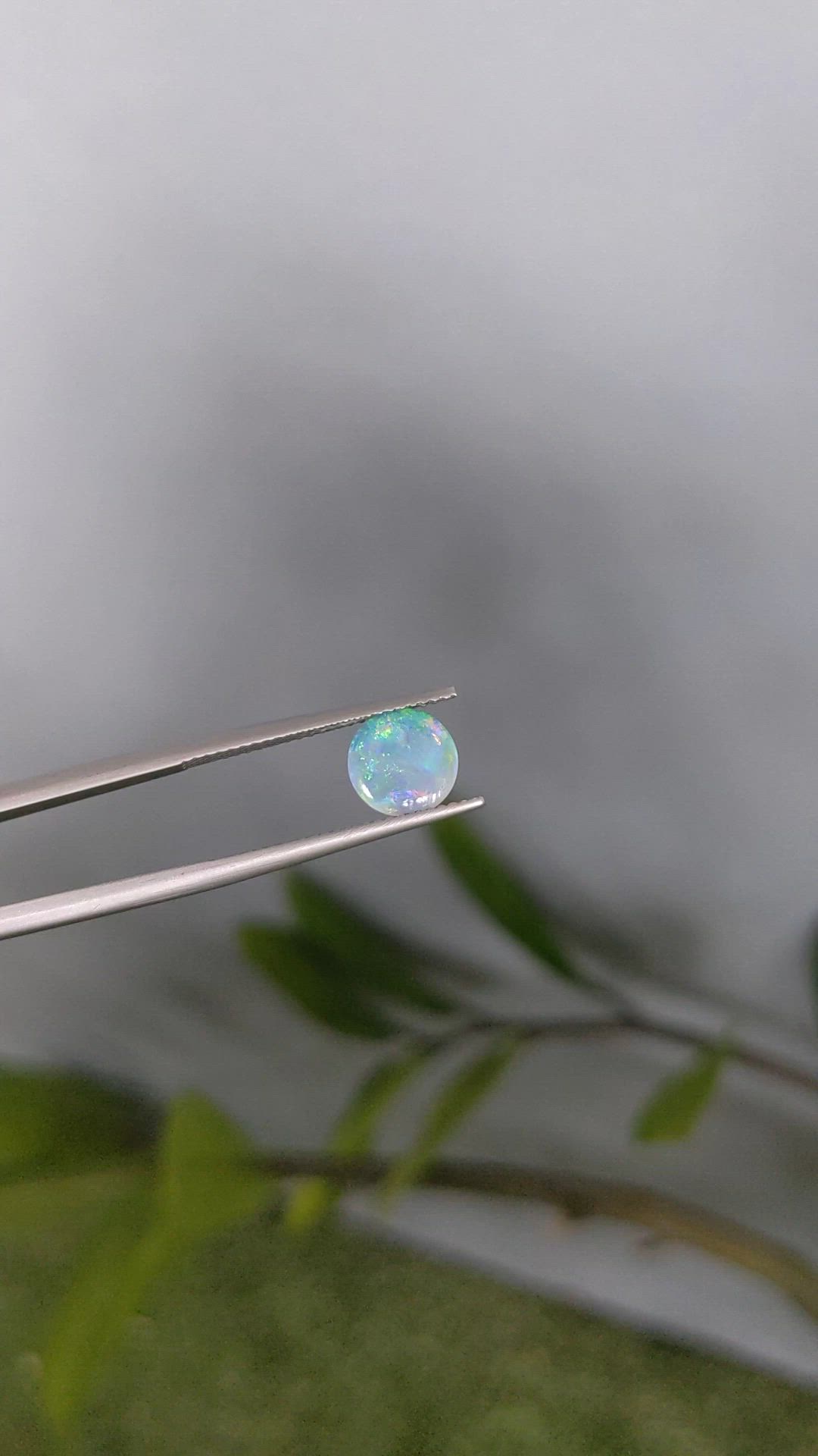 0.71 Ct. Multi Color Cabochon Crystal Opal (Jelly Opal) from Australia Size Video