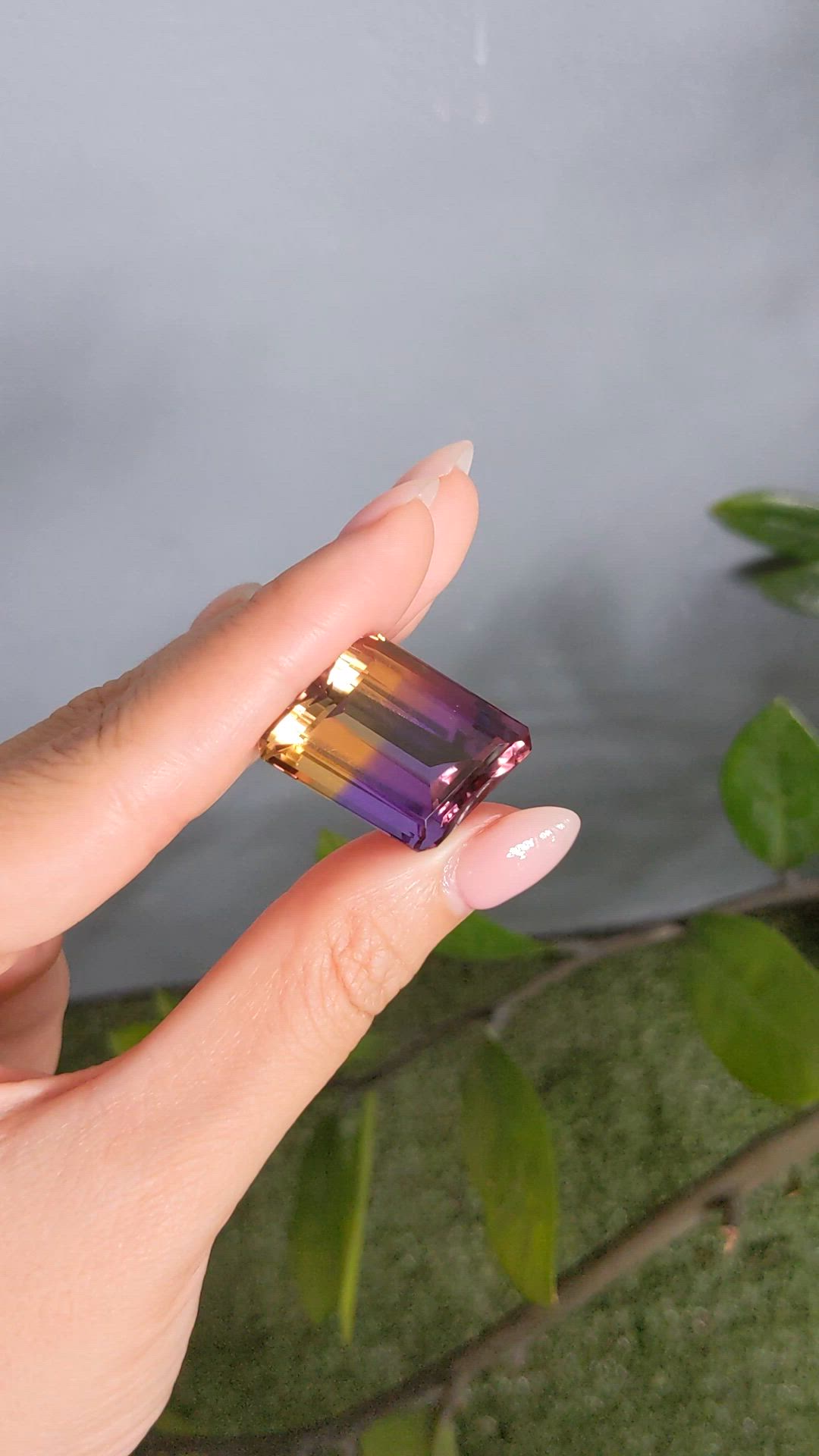 48.34 Ct. Bi Color Ametrine from Brazil Size Video
