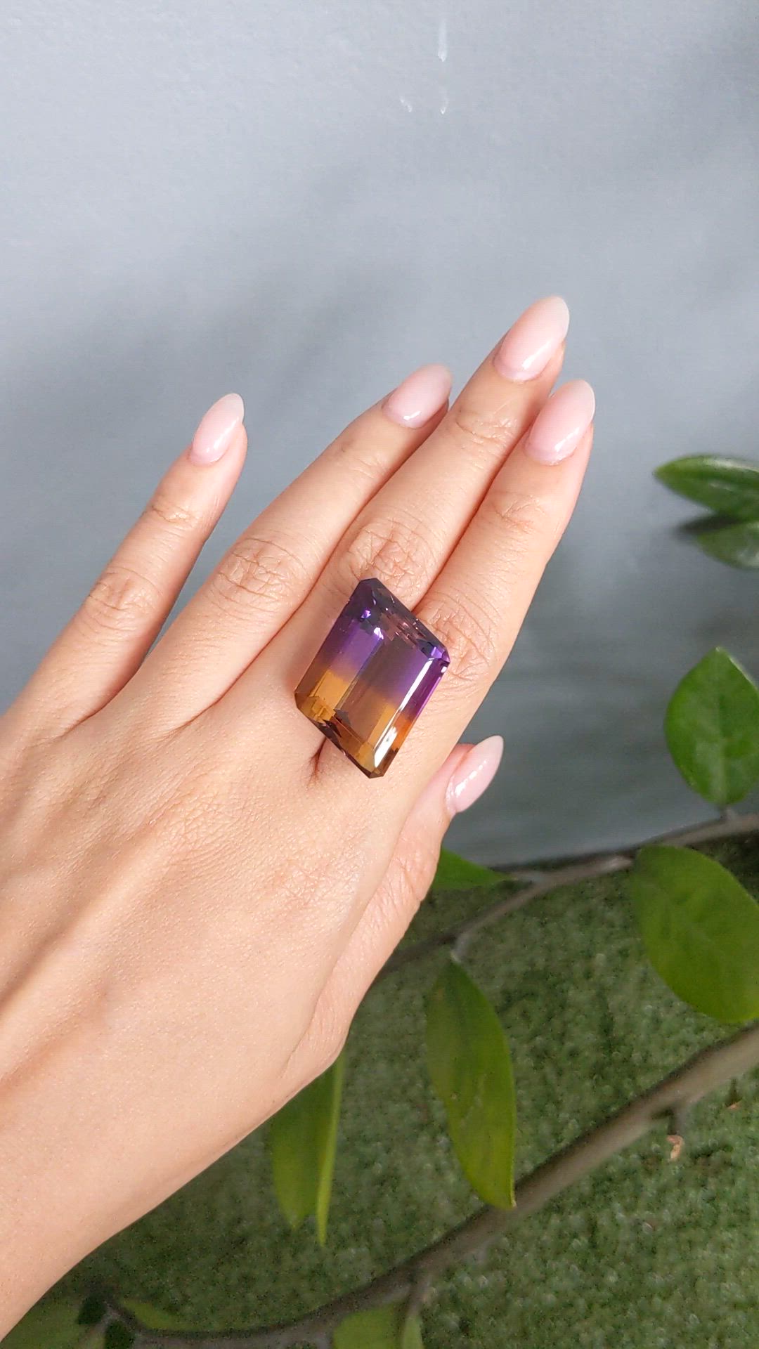 48.34 Ct. Bi Color Ametrine from Brazil Size Video