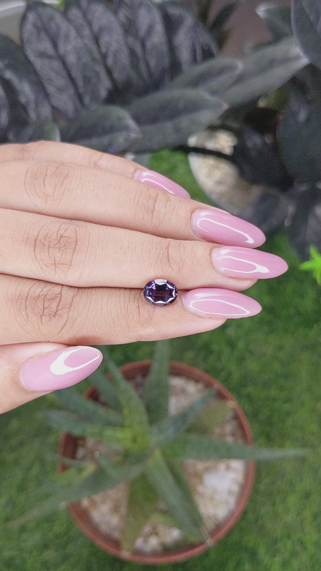 1.69 Ct. Purple Spinel from Ceylon (Sri Lanka) Size Video
