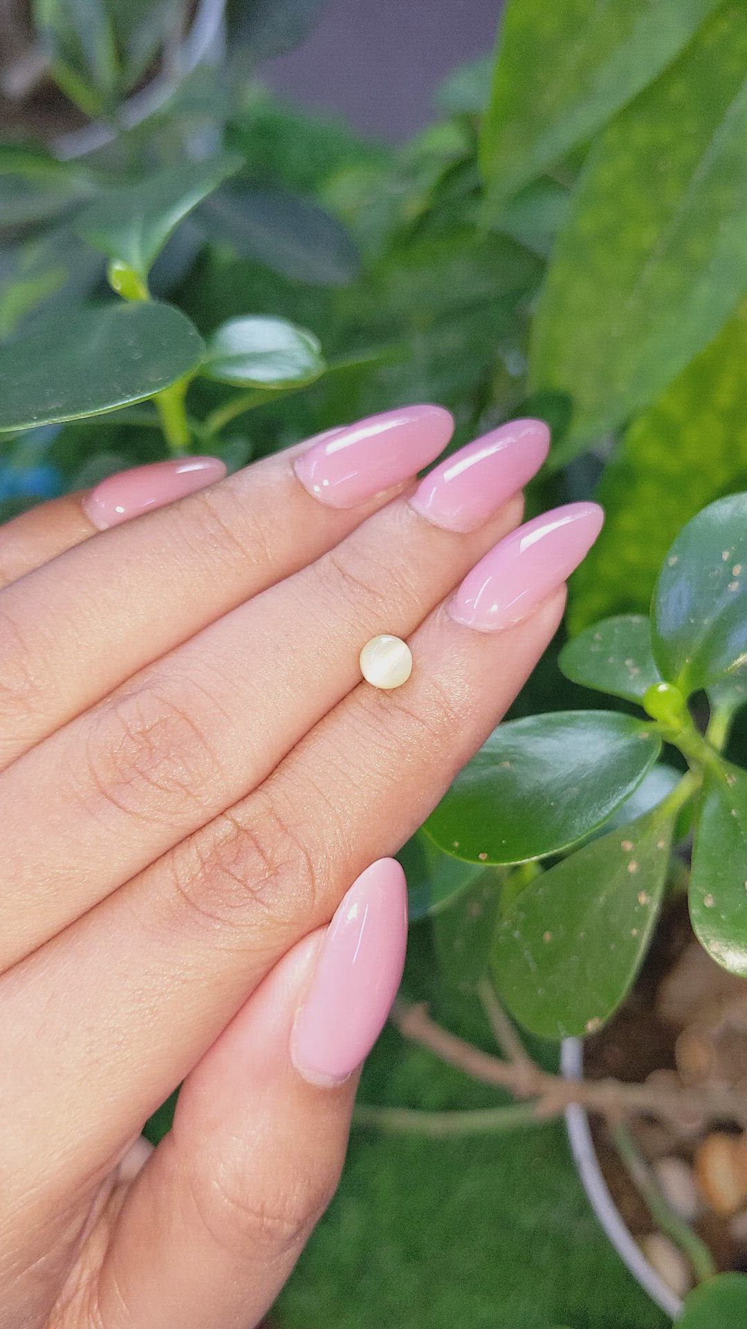 0.98 Ct. Yellowish Green Cabochon Chrysoberyl from Ceylon (Sri Lanka) Size Video