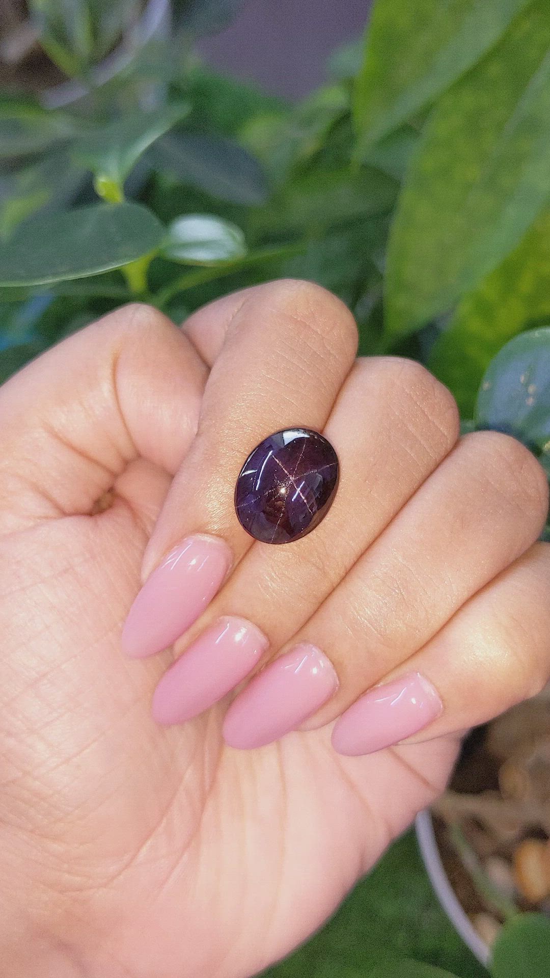 12.13 Ct. Purple Star Garnet from Ceylon (Sri Lanka) Size Video