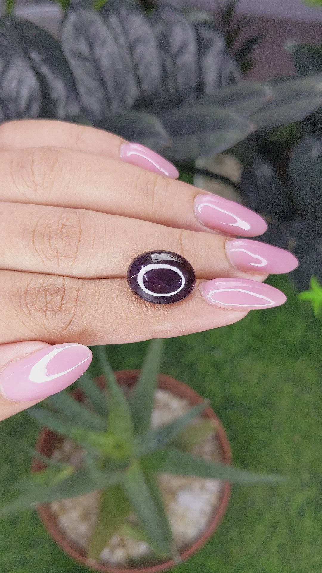 12.13 Ct. Purple Star Garnet from Ceylon (Sri Lanka) Size Video