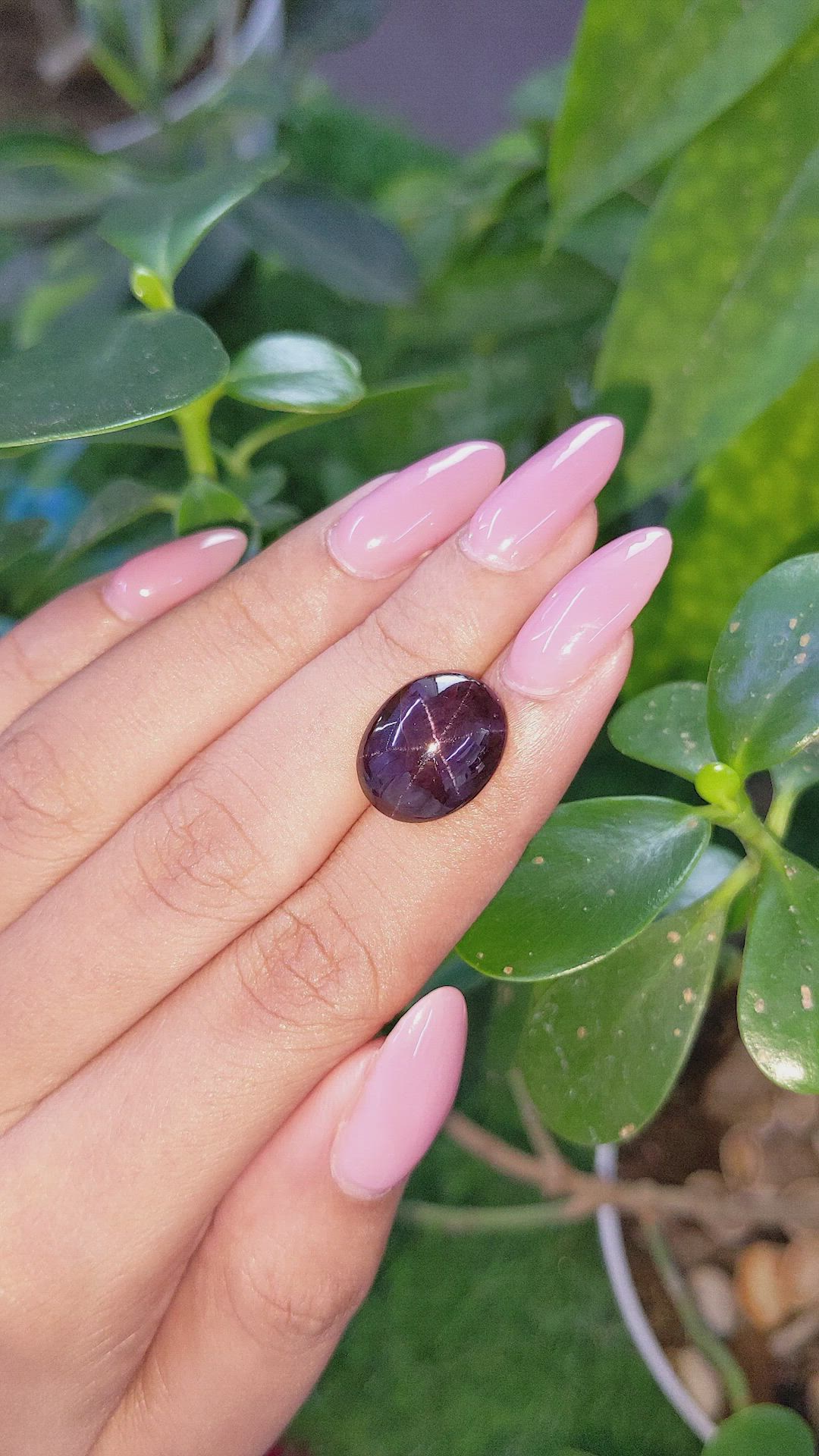 12.13 Ct. Purple Star Garnet from Ceylon (Sri Lanka) Size Video