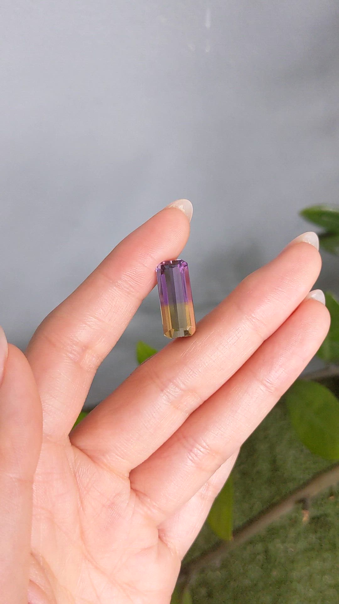 8.66 Ct. Bi Color Ametrine from Brazil Size Video