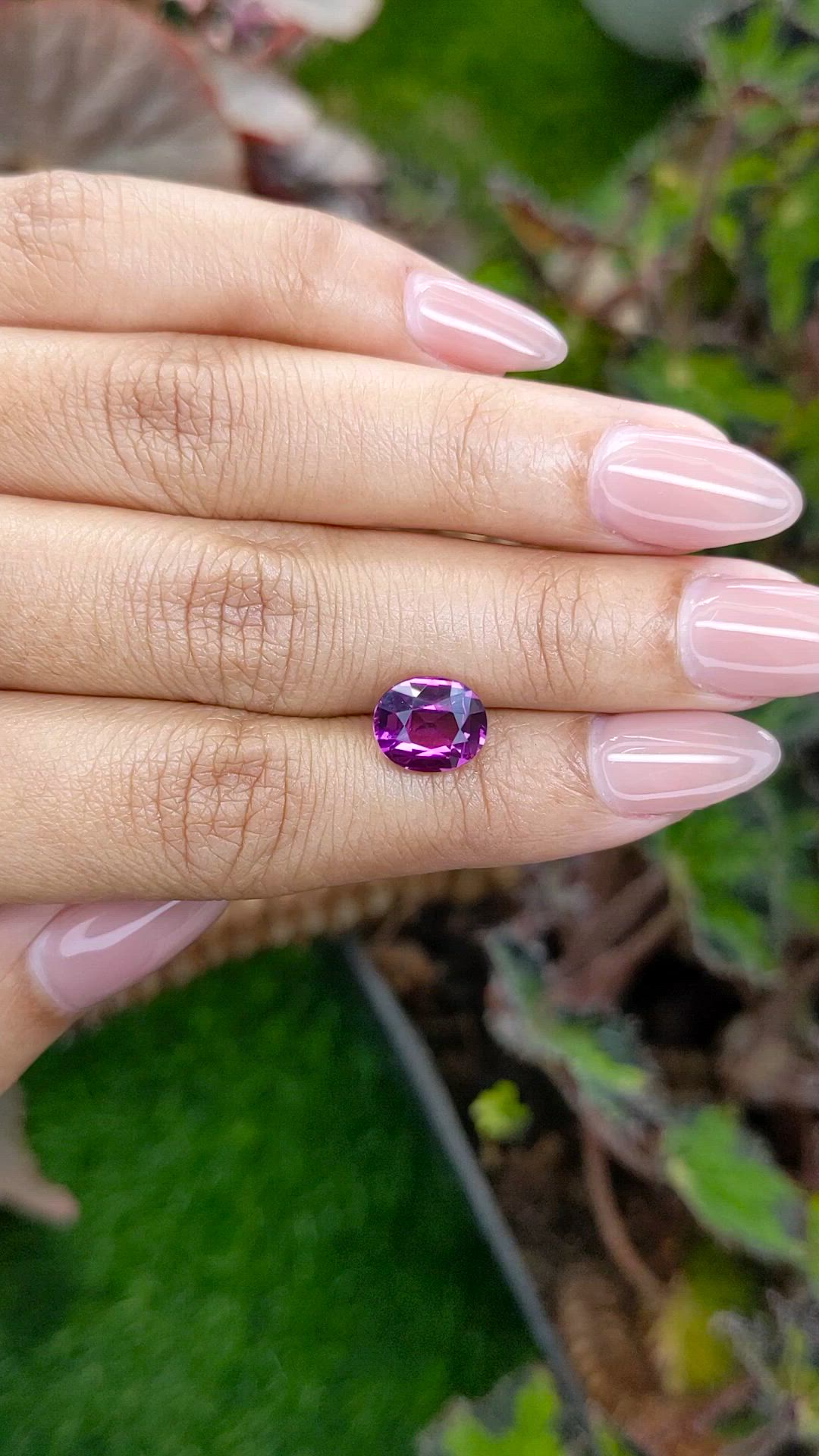3.54 Ct. Pinkish Purple Garnet from Ceylon (Sri Lanka) Size Video