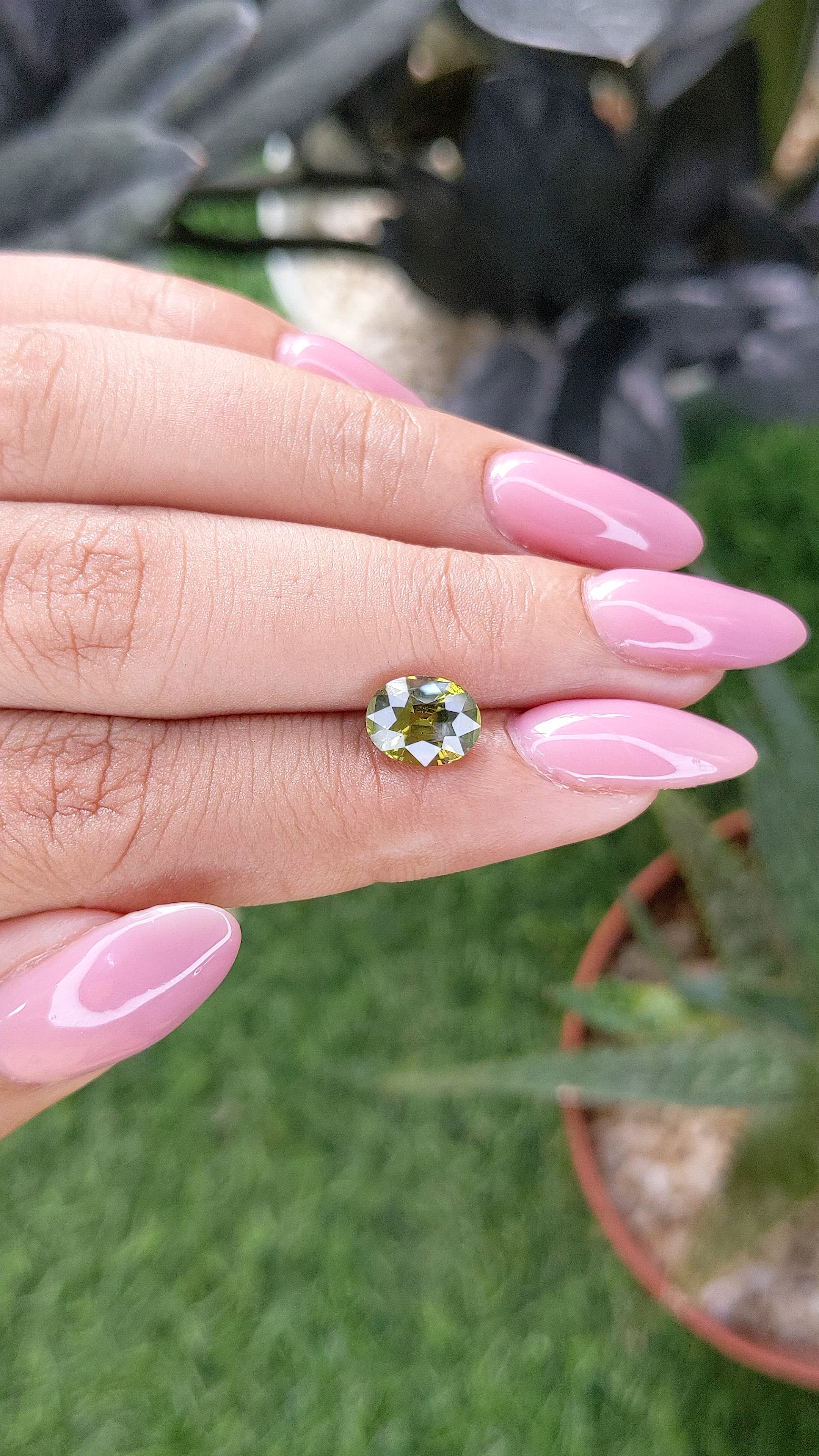 2.00 Ct. Yellowish Green Chrysoberyl from Ceylon (Sri Lanka) Size Video