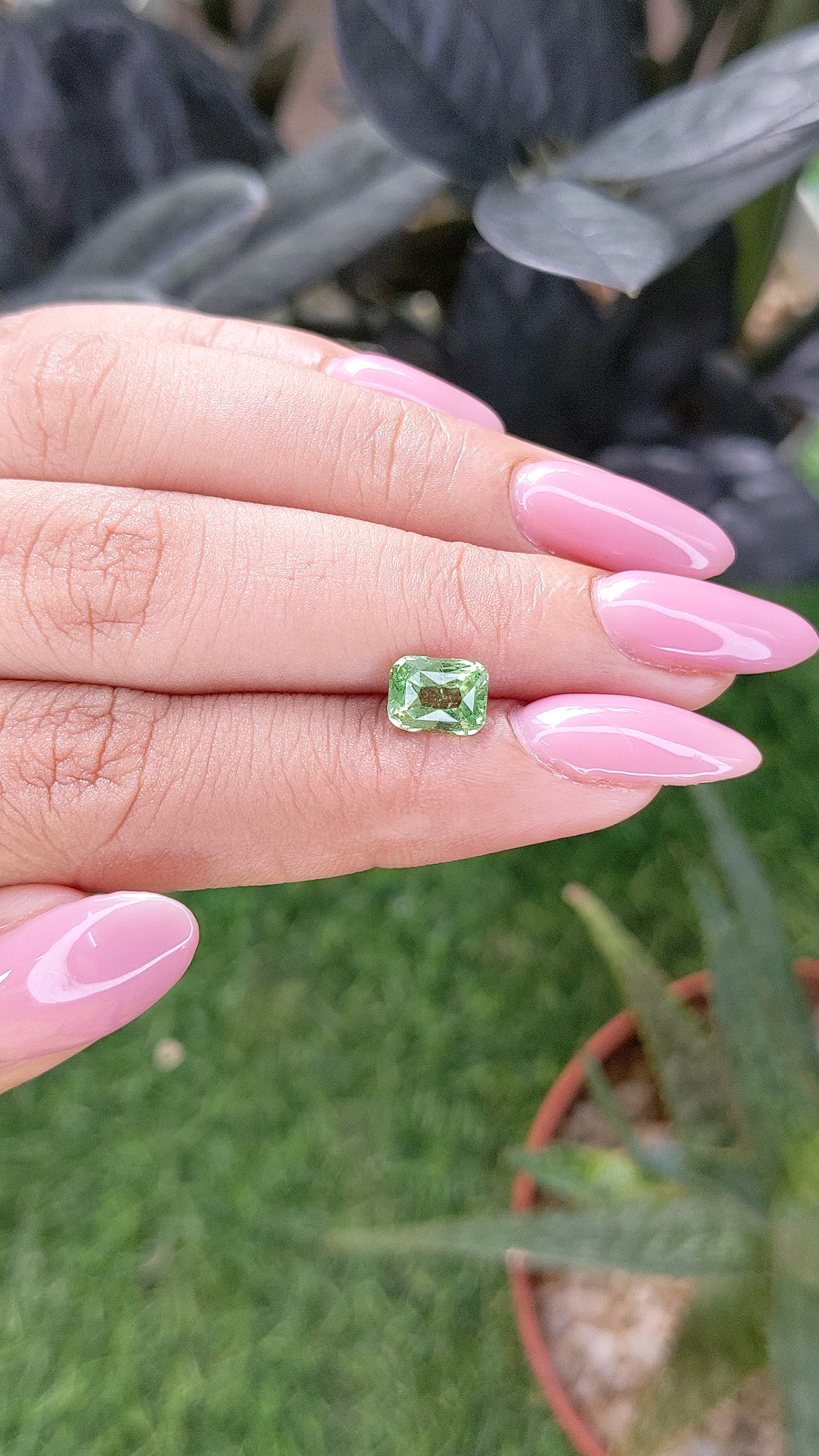1.55 Ct. Green Grossular Garnet from Tanzania Size Video