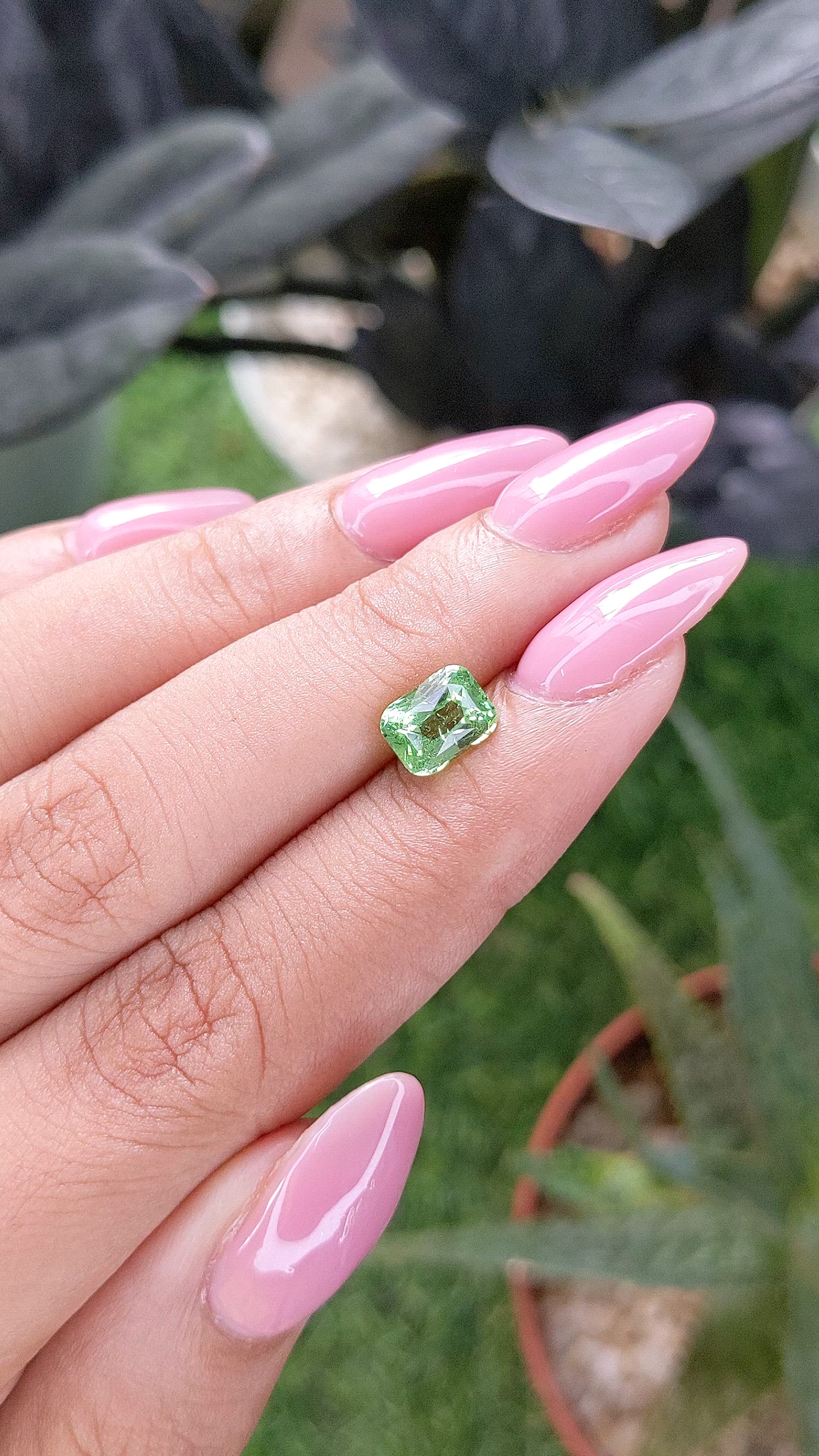 1.55 Ct. Green Grossular Garnet from Tanzania Size Video