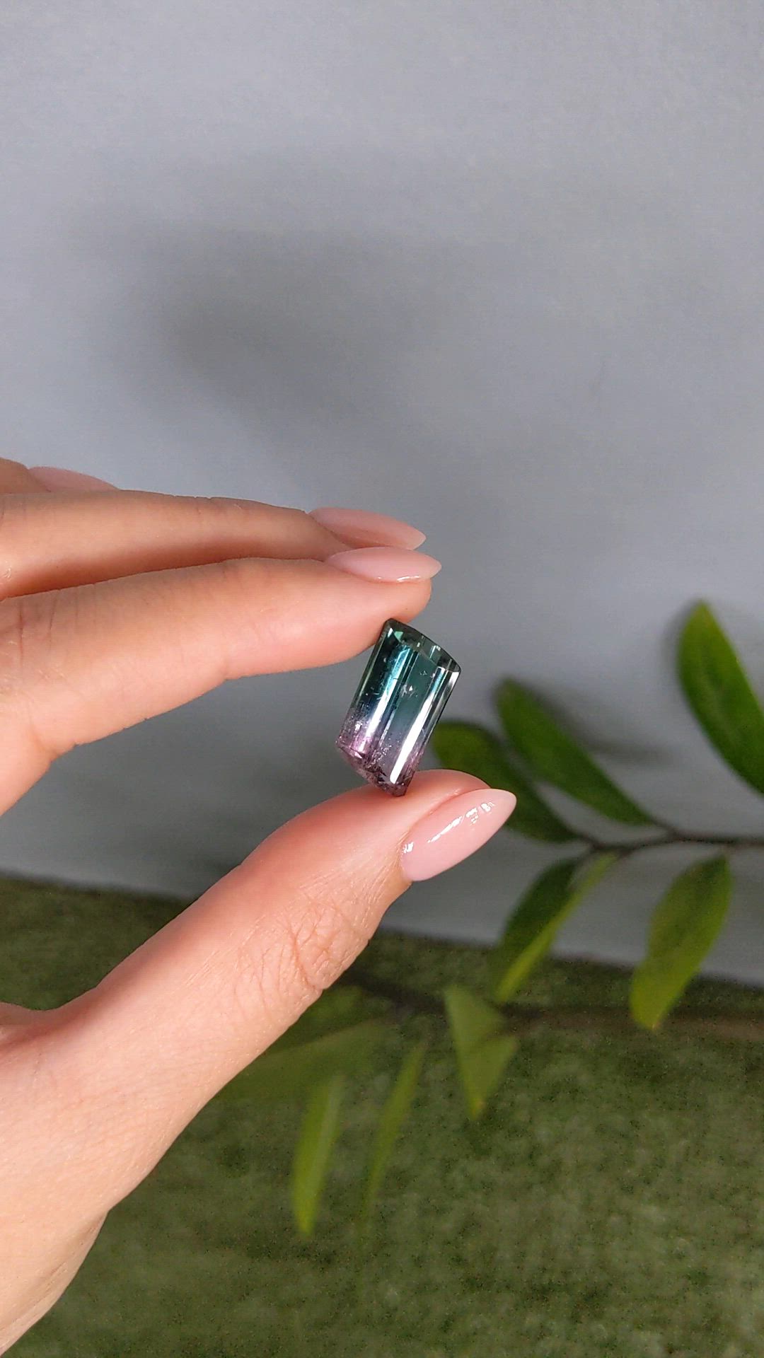 10.96 Ct. Bi Color Tourmaline from Mozambique Size Video