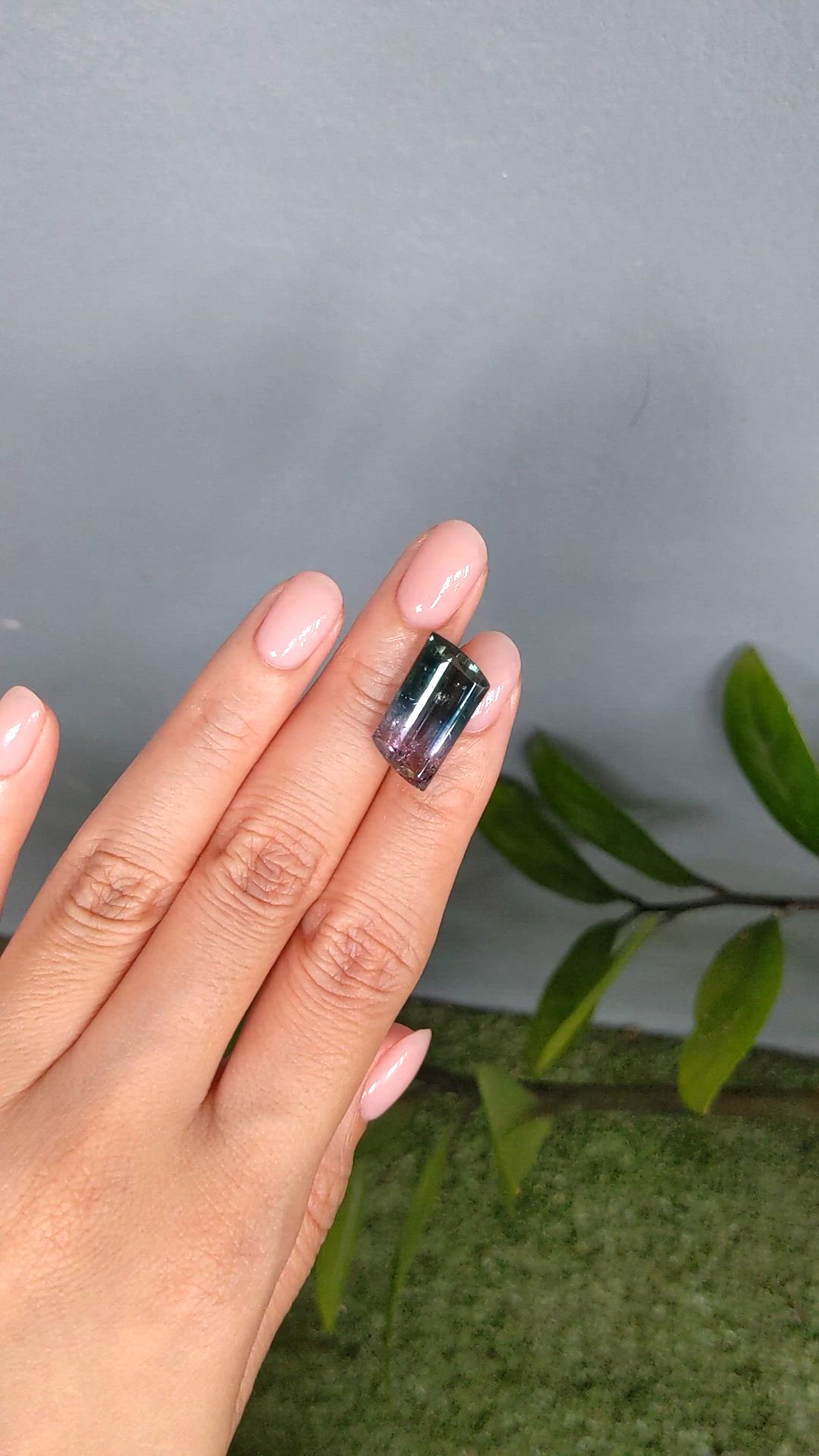 10.96 Ct. Bi Color Tourmaline from Mozambique Size Video
