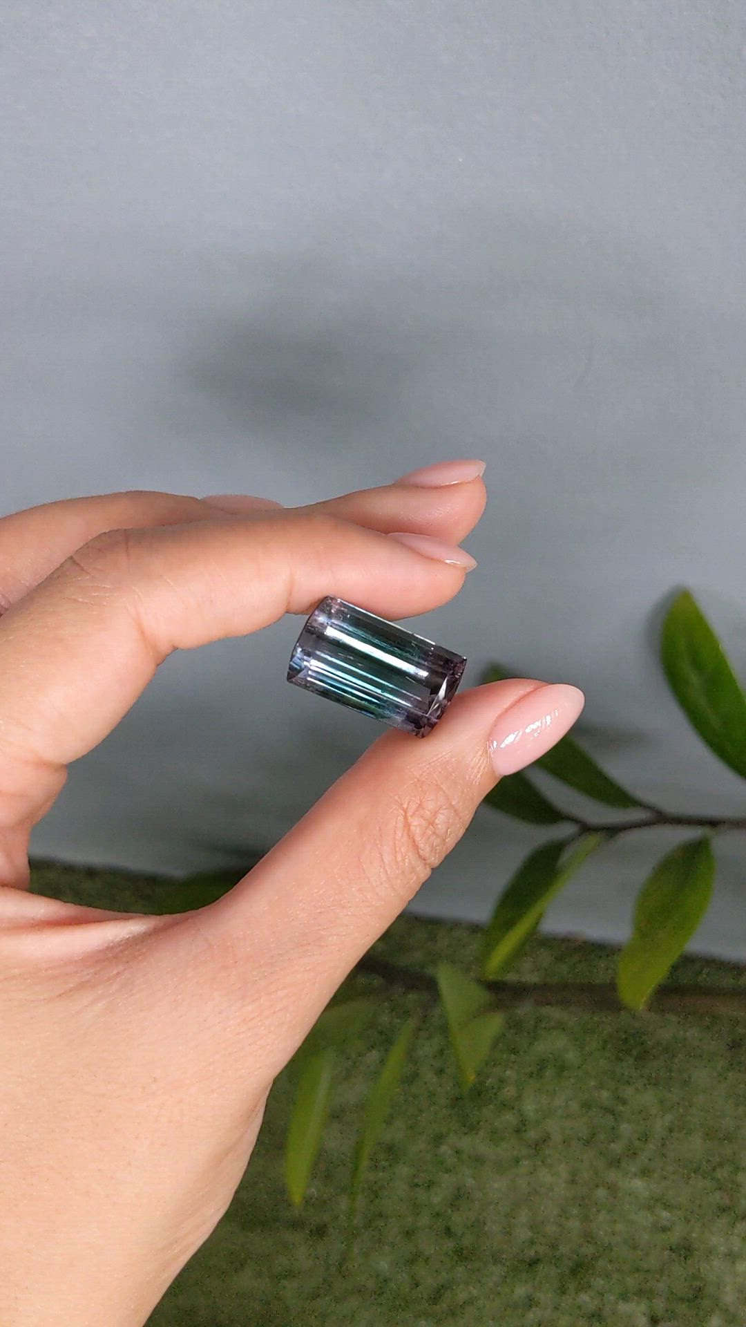 23.20 Ct. Bi Color Tourmaline from Mozambique Size Video