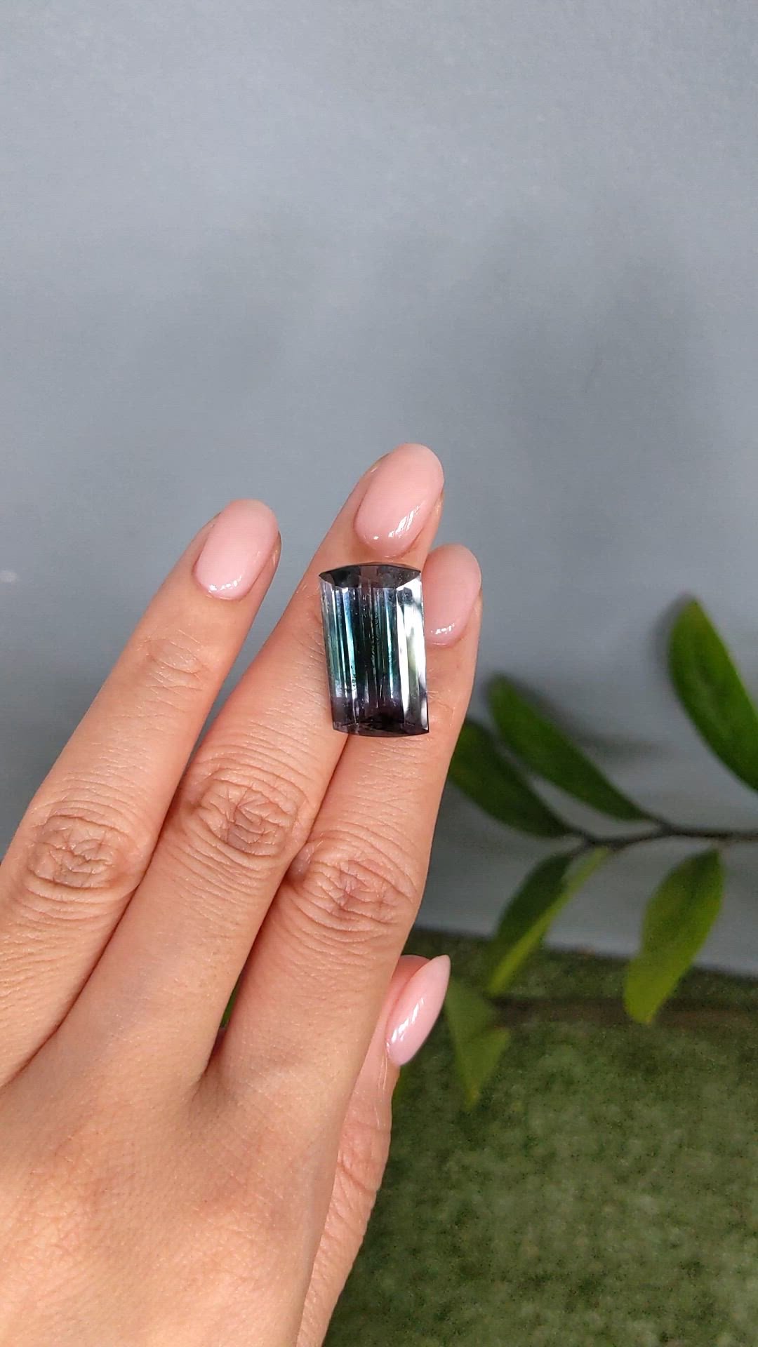 23.20 Ct. Bi Color Tourmaline from Mozambique Size Video