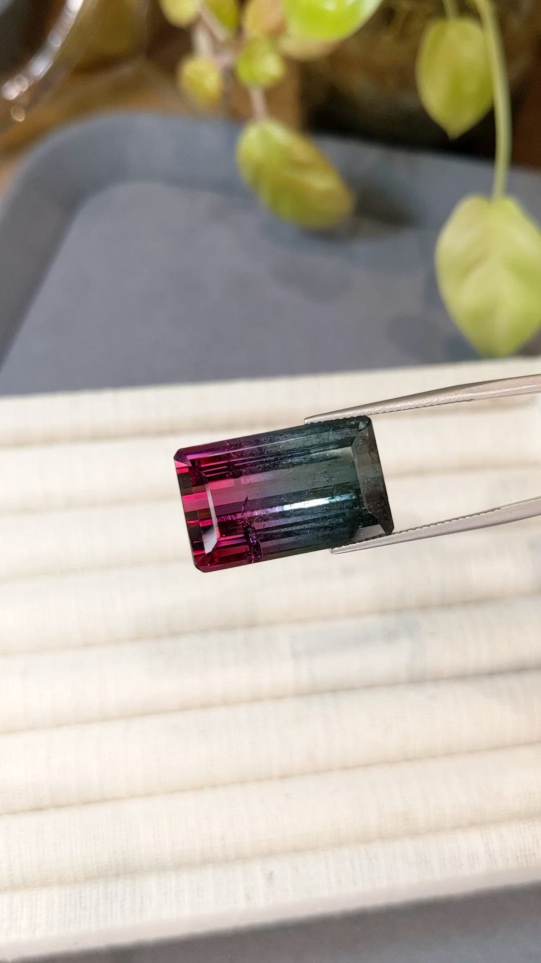 30.00 Ct. Bi Color Tourmaline from Mozambique Size Video