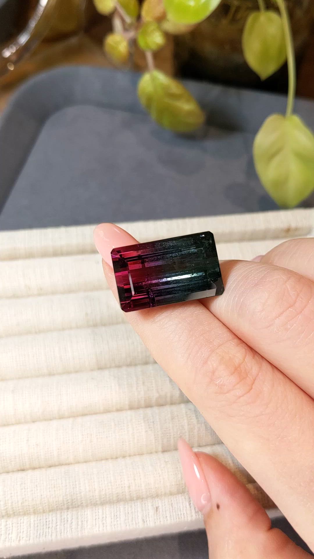 30.00 Ct. Bi Color Tourmaline from Mozambique Size Video