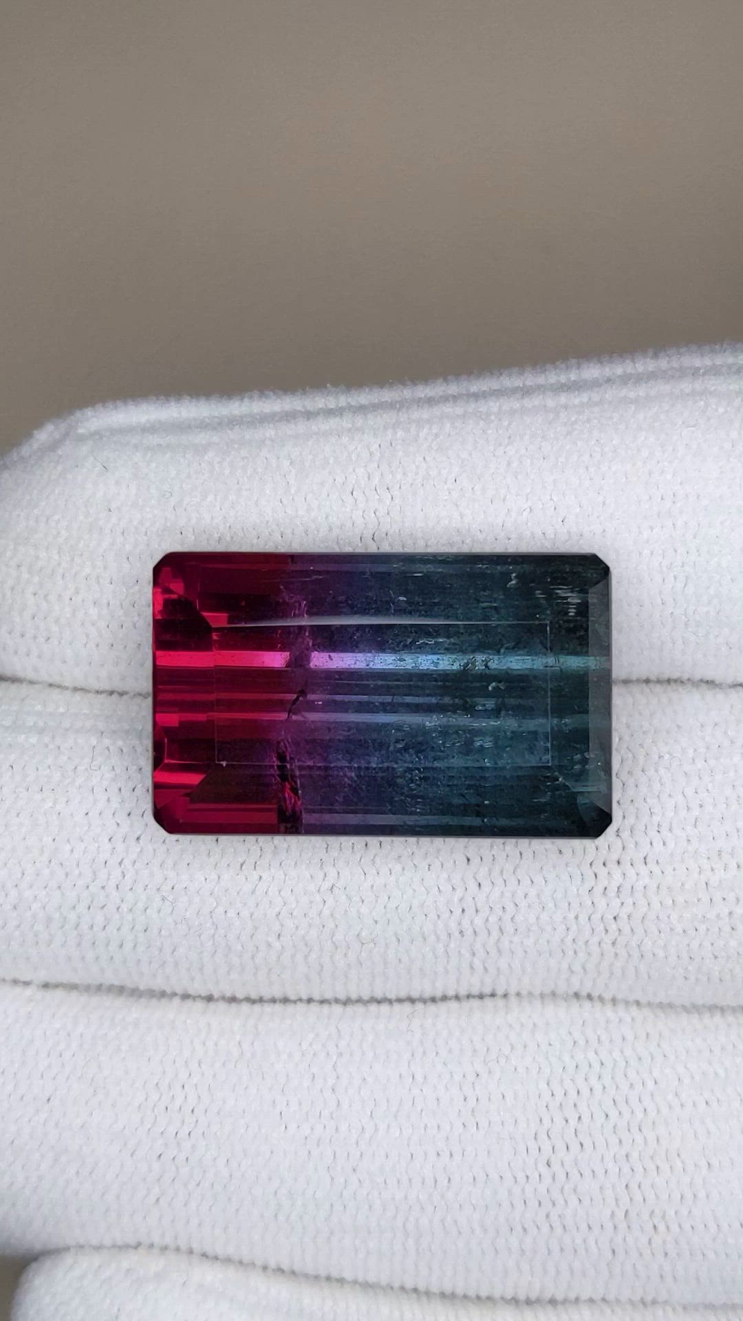 30.00 Ct. Bi Color Tourmaline from Mozambique Size Video
