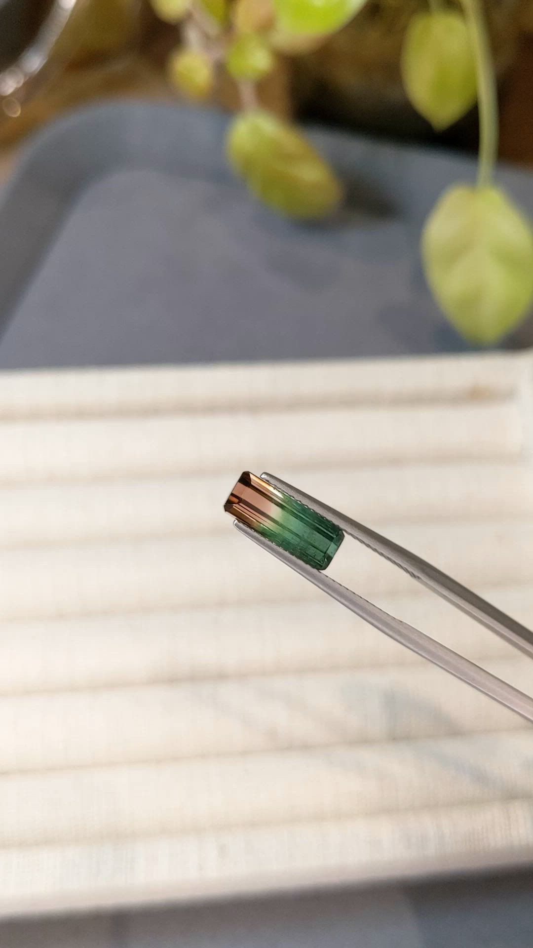 2.82 Ct. Watermelon Tourmaline from Mozambique Size Video