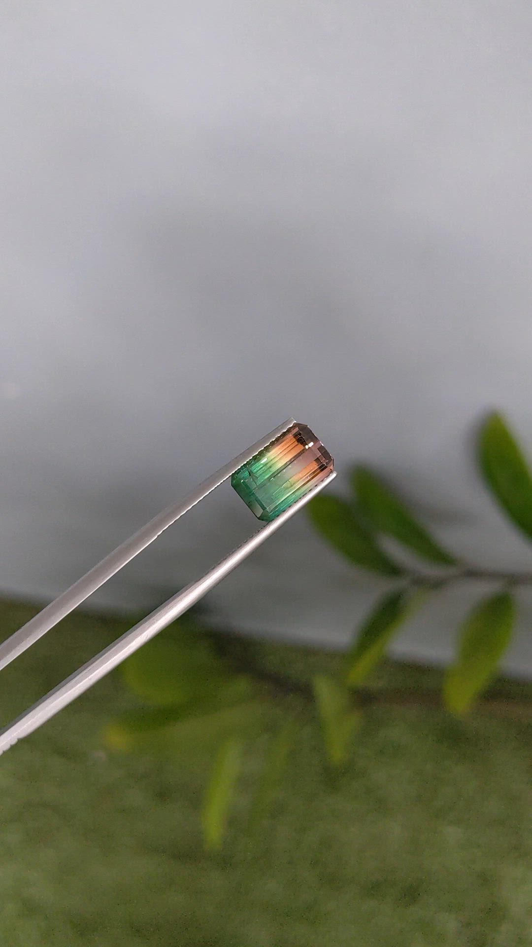 3.95 Ct. Watermelon Tourmaline from Mozambique Size Video