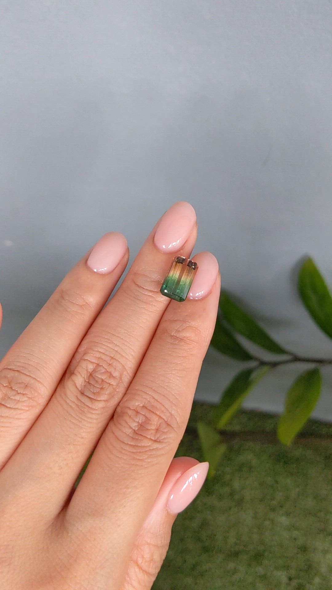 3.95 Ct. Watermelon Tourmaline from Mozambique Size Video